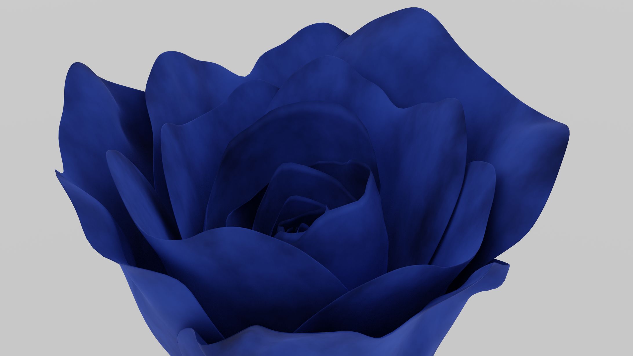 青い薔薇-1