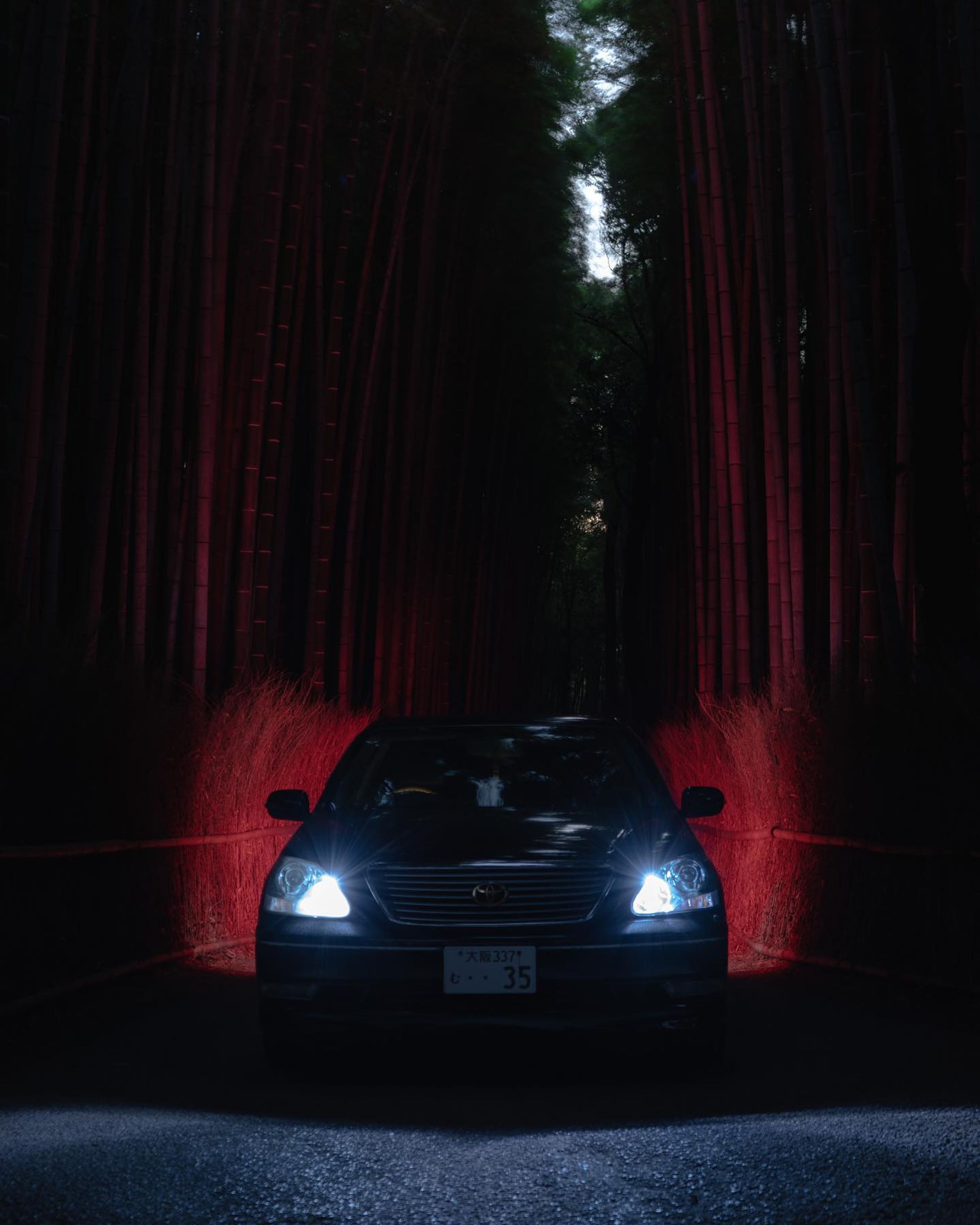セルシオ×竹林
とても渋い作品が出来ました。
乗り心地も最高です。

#α7ⅲ  #写真好きな人と繋がりたい
#写真撮ってる人と繋がりたい　#カメラ好きな人と繋がりたい
#ファインダー越しの私の世界　#キリトリセカイ
#ダレカニミセタイケシキ　#tokyocameraclub
#IGersJP #ig_japan #team_jp_ #Lovers_Nippon
#art_of_japan_ #bestjapanpics 
#ig_phos #love_bestjapan 
 #関西写真部 #関西カメラ部
#嵐山 #京都嵐山 #嵐山竹林の道
#車好きな人と繋がりたい #セルシオ 
#車好きと繋がりたい #車好き #車のある景色-1