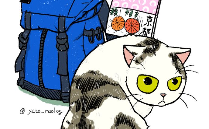 cat illustration８