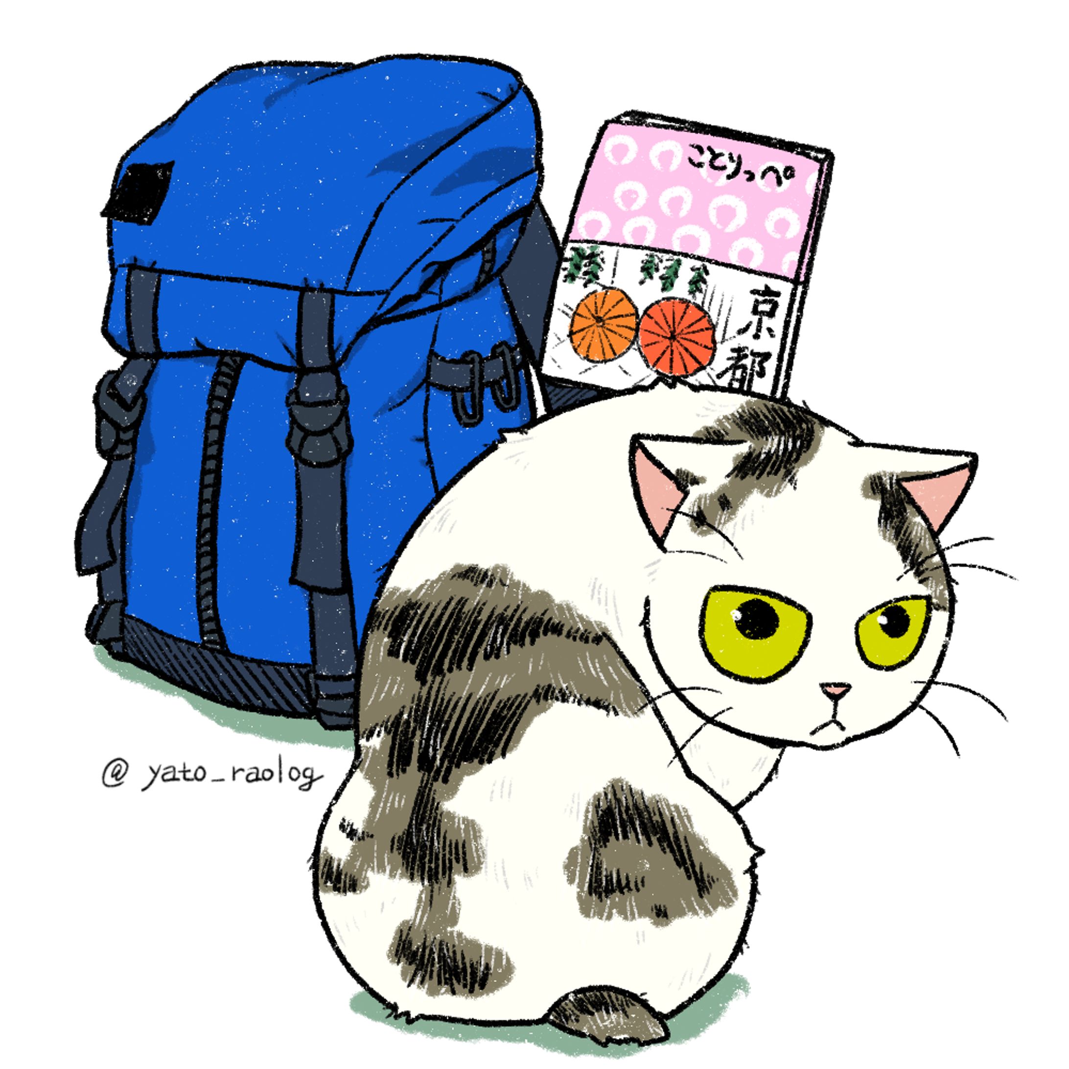 cat illustration８-1