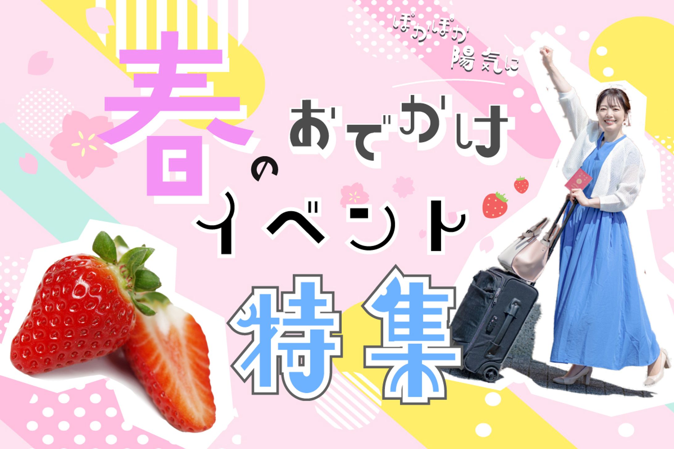 春のイベント /  banner-1