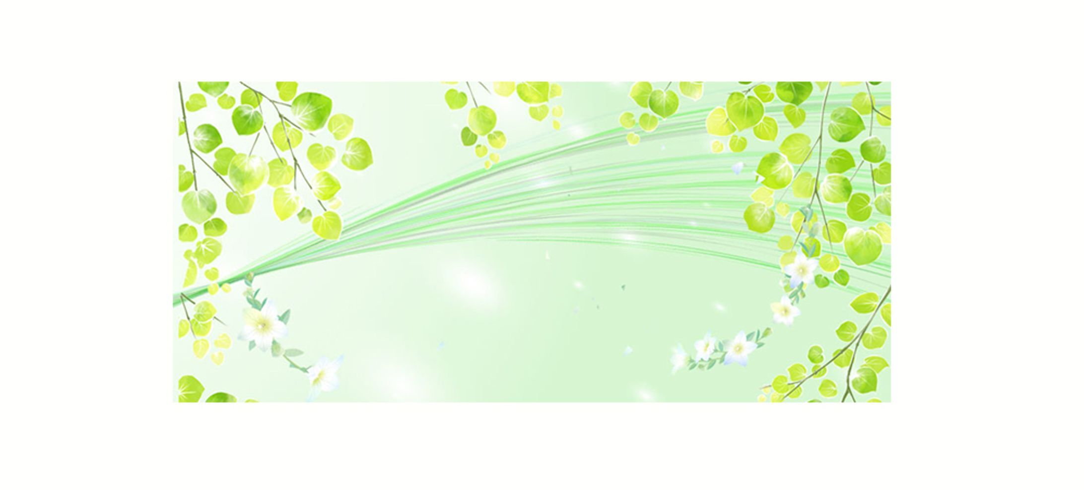 桂＆桔梗背景・folio用モックなし-1