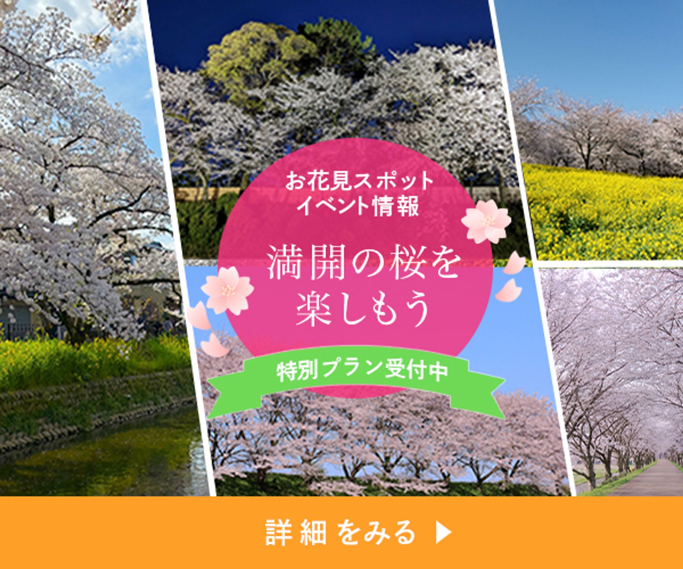 【バナー】お花見（サンプル）-1