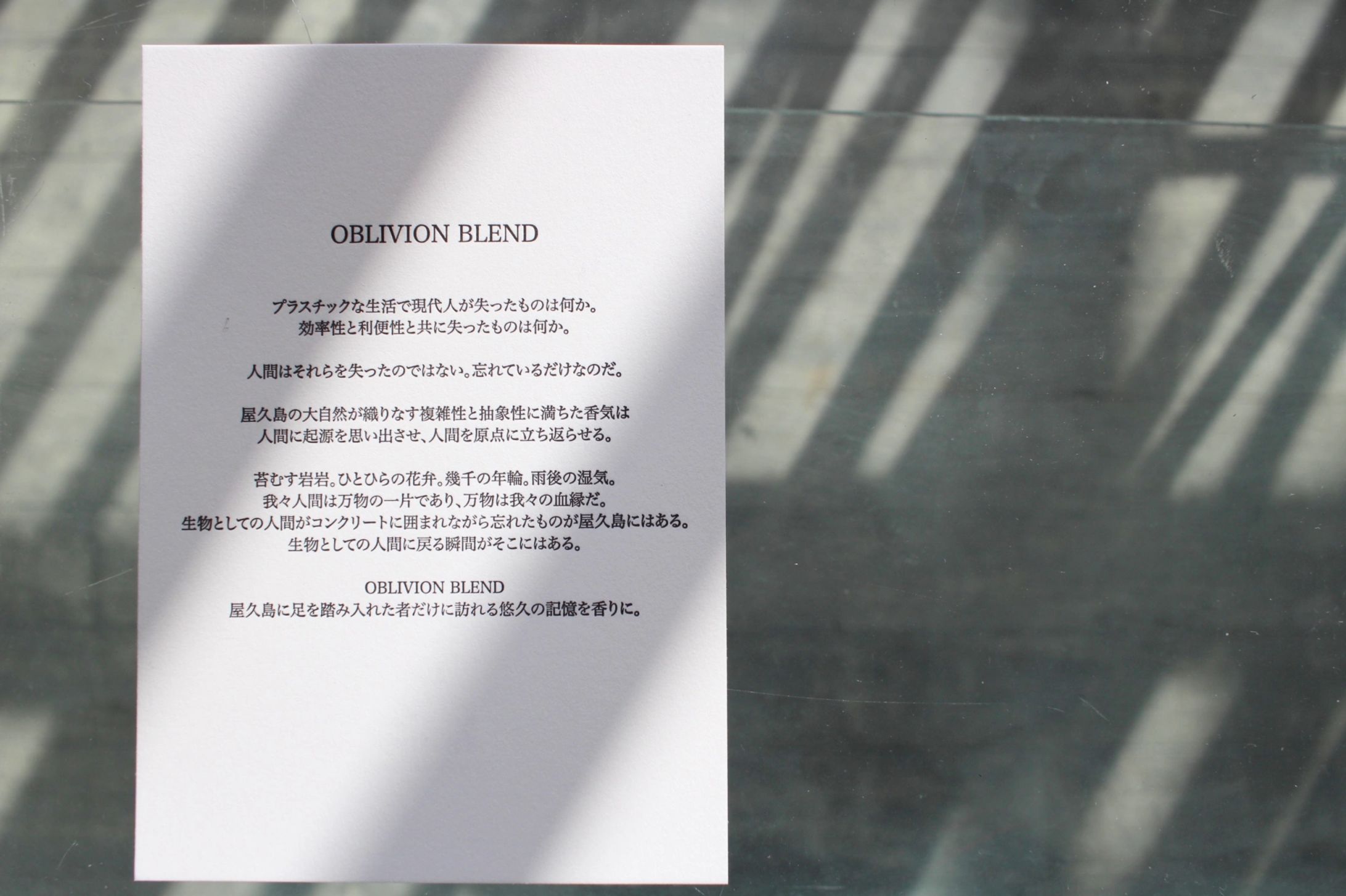小田駿一 個展「OBLIVION」＠C7C gallery and shop-1