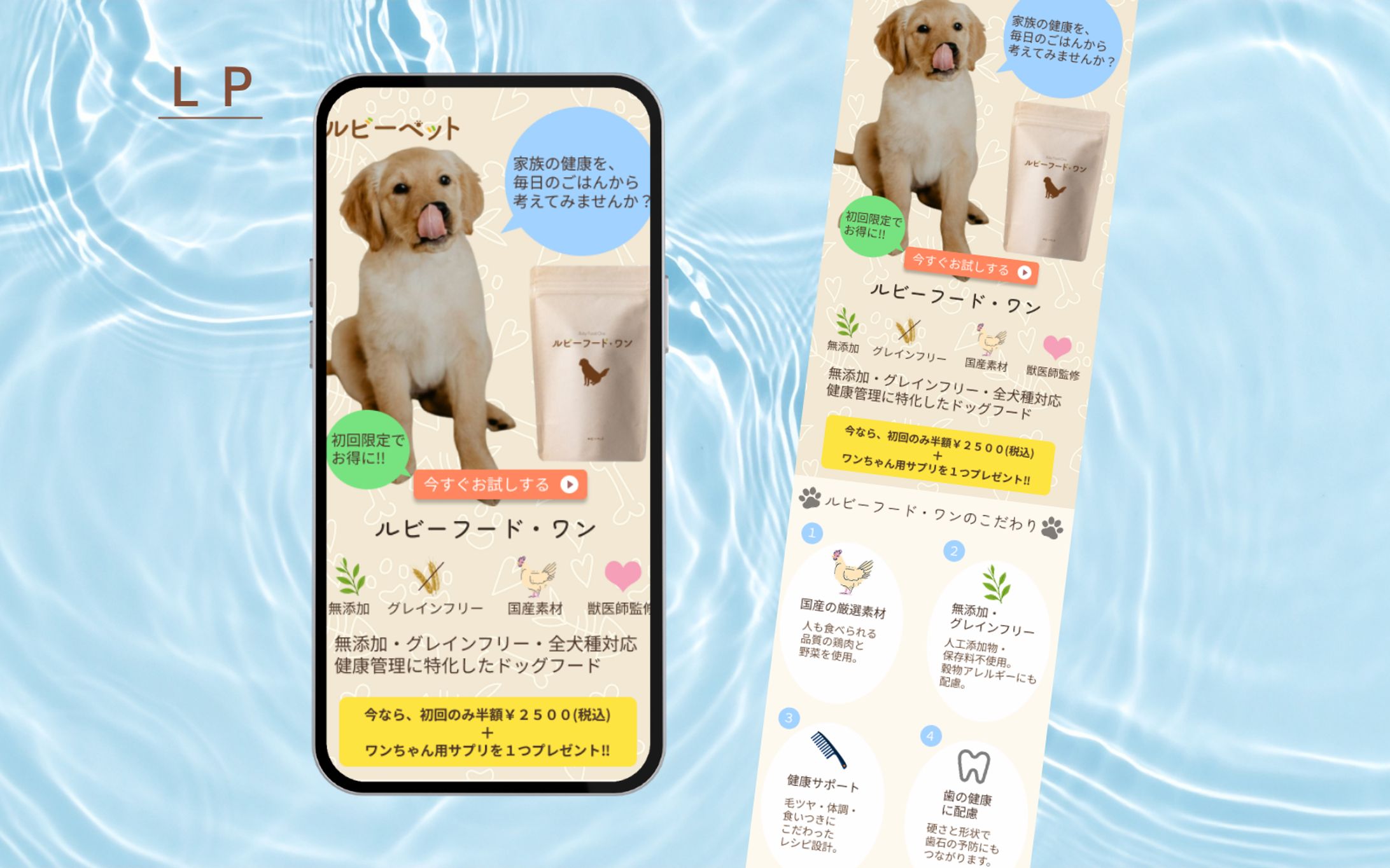 【HerTech 架空案件】 ワンちゃんの健康管理フード「ルビーフード・ワン」ＬＰ制作-1