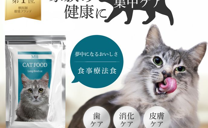 猫、バナー.lp.紙媒体