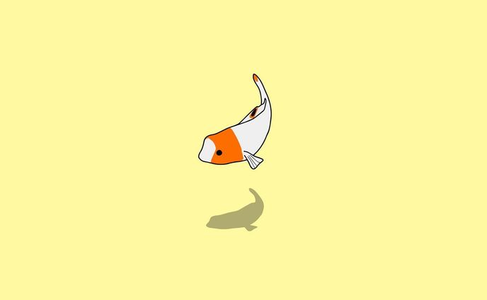 イロブダイ幼魚