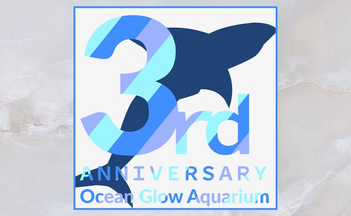 Ocean Glow Aquarium　《バナー》