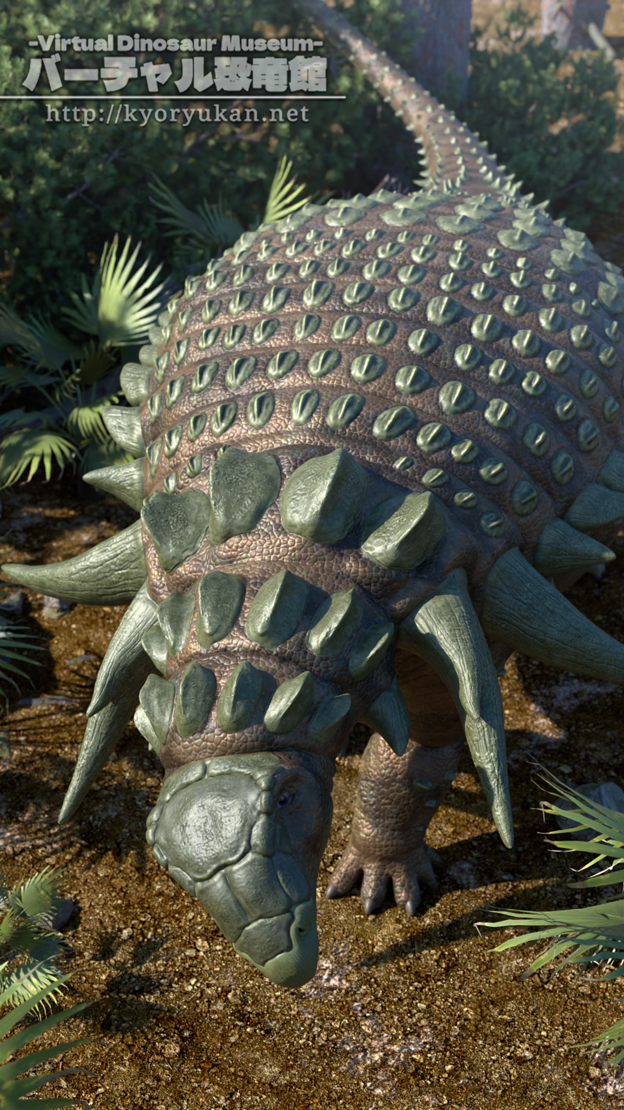 エドモントニア-1