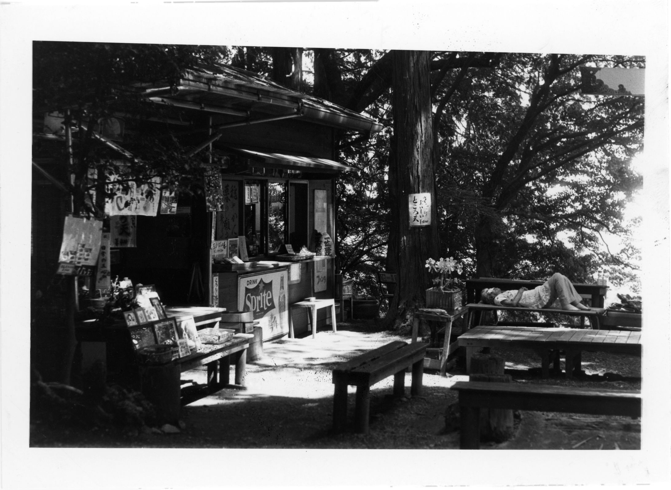 昼下がりの山頂-1