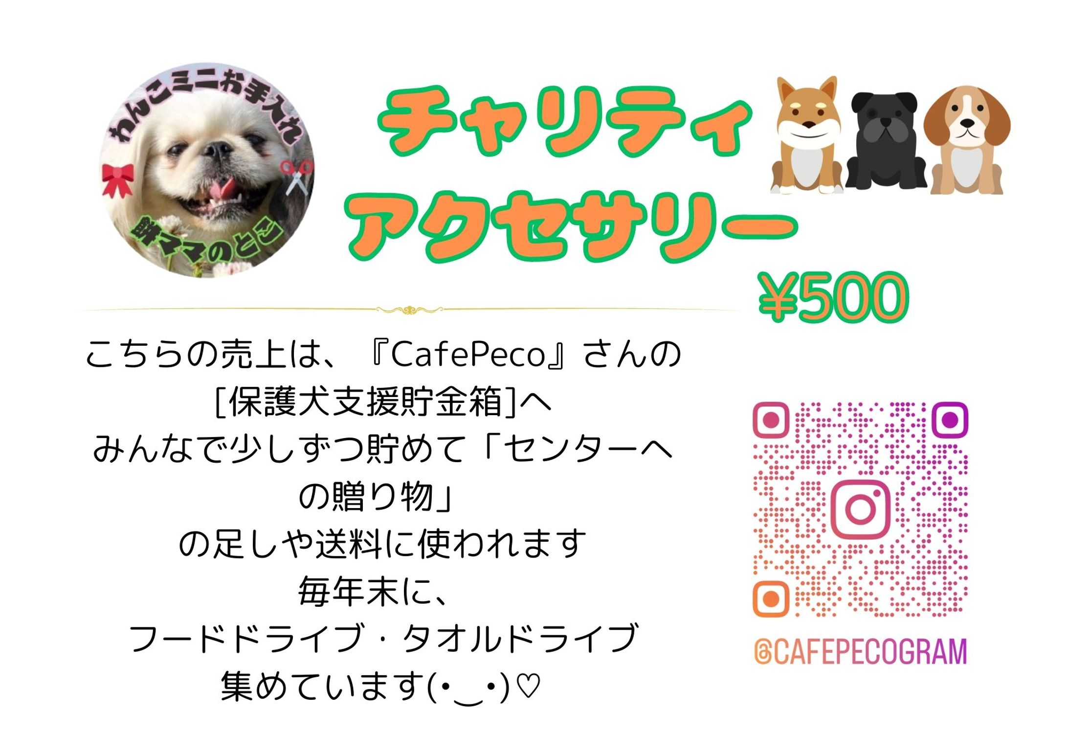 チャリティアクセサリー-1