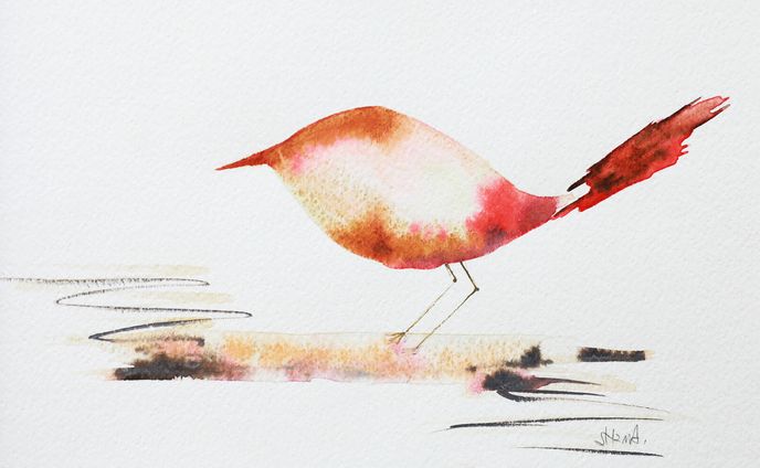 Red Bird
