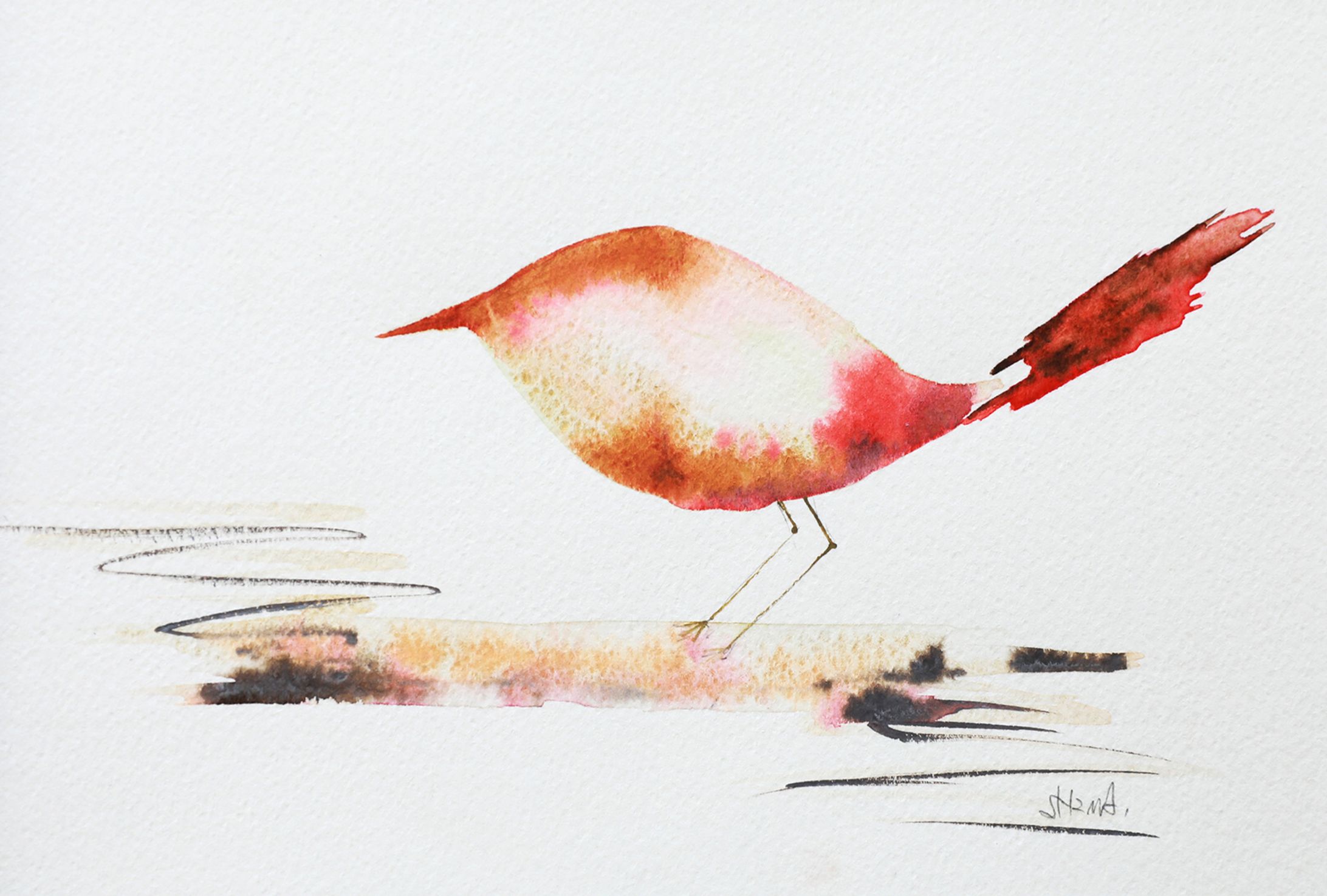 Red Bird-1
