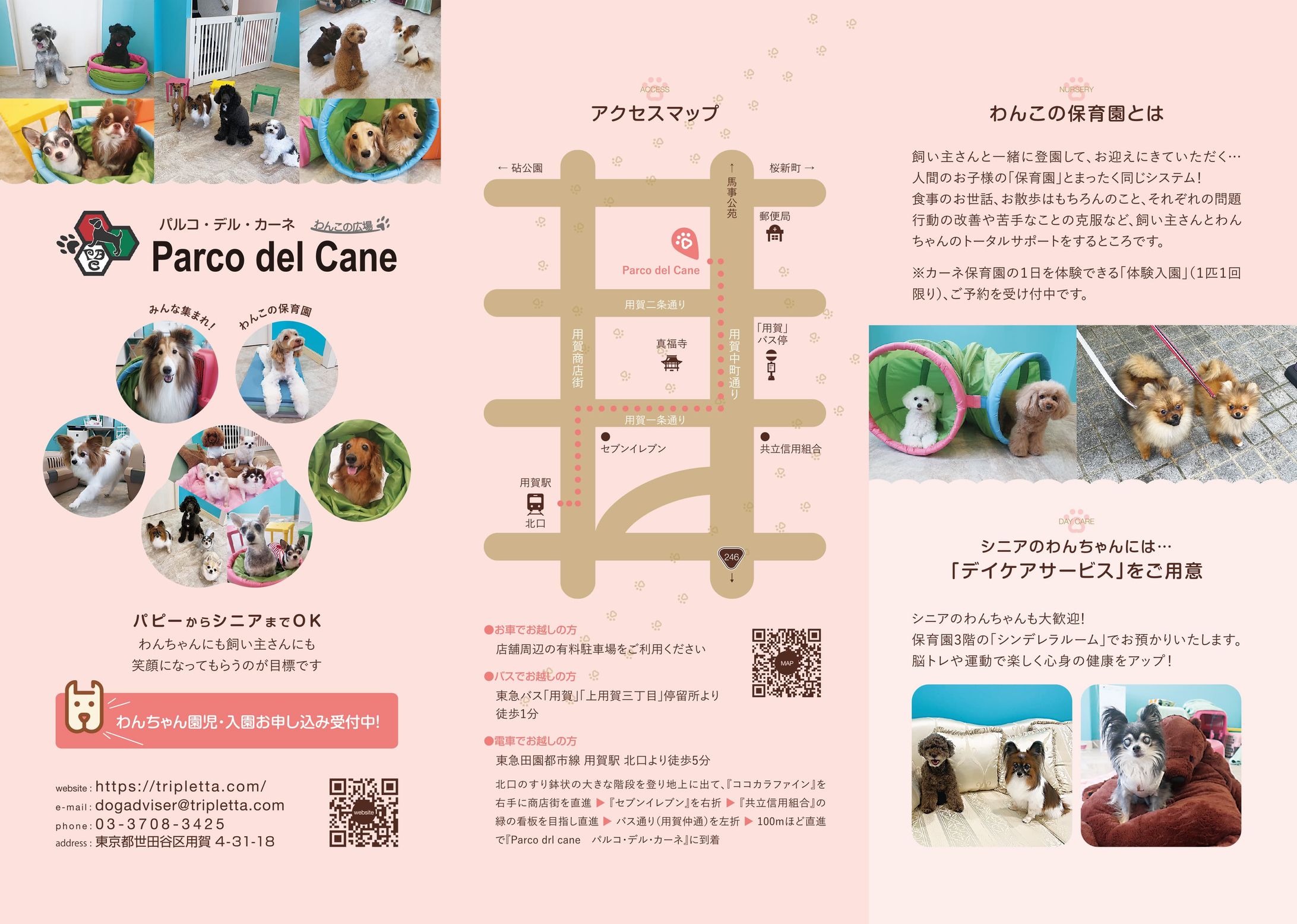 【Graphic】パルコ・デル・カーネ・巻三つ折リーフレット-1