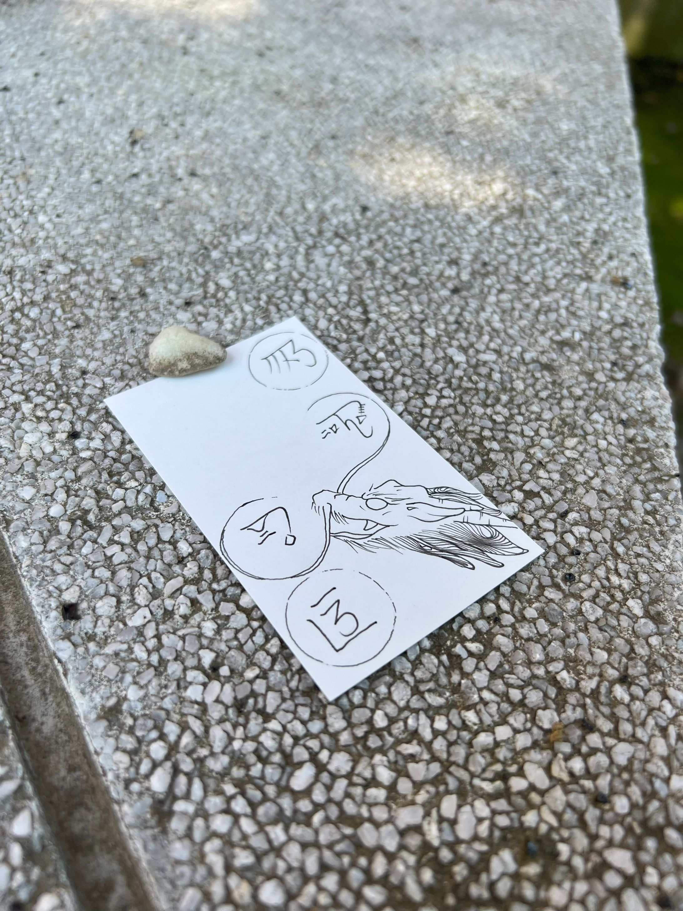 龍6-1