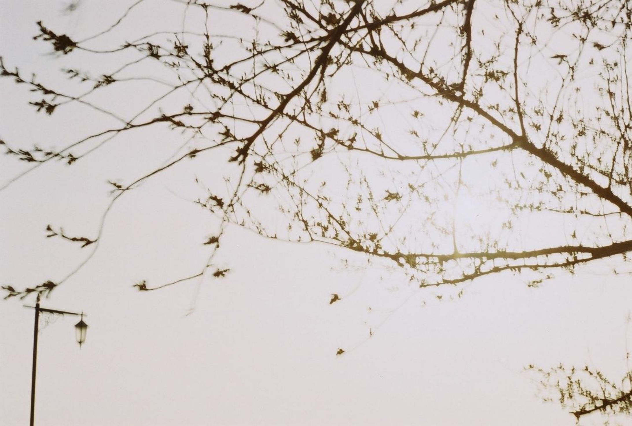 9A25301C 1B36 4AD1 AEF7 BC2205547F5F-1