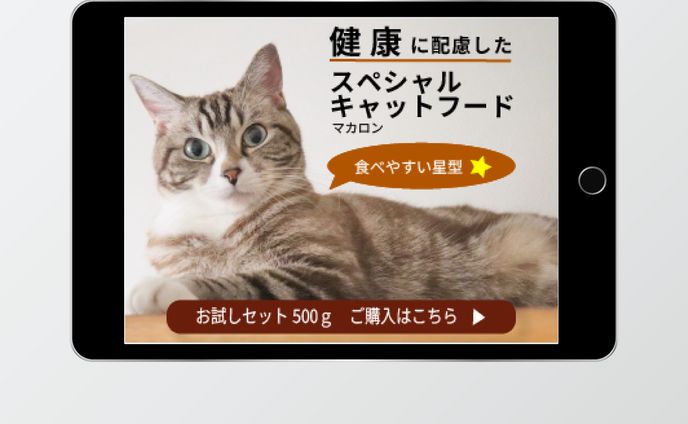 キャットフード　バナー