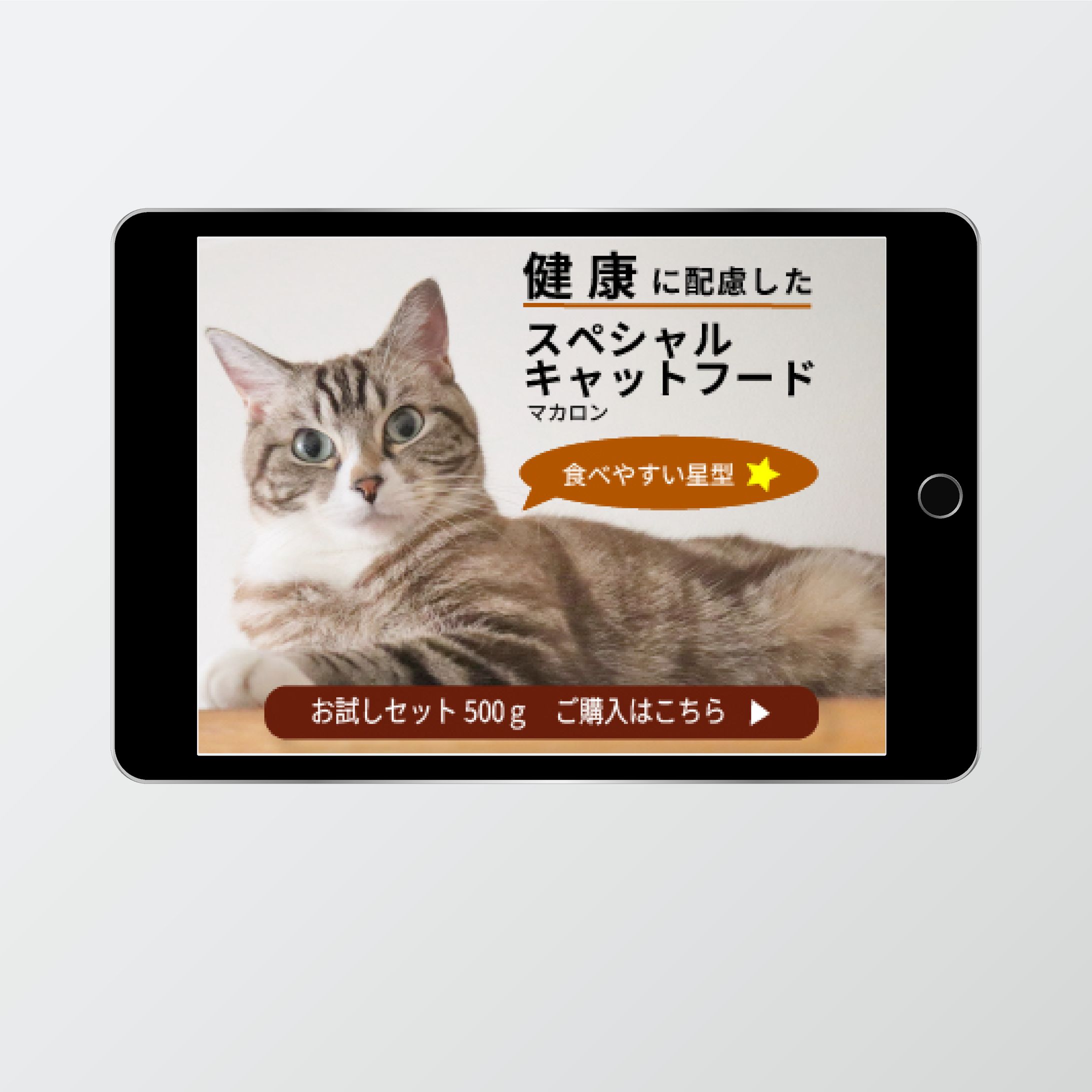 キャットフード　バナー-1
