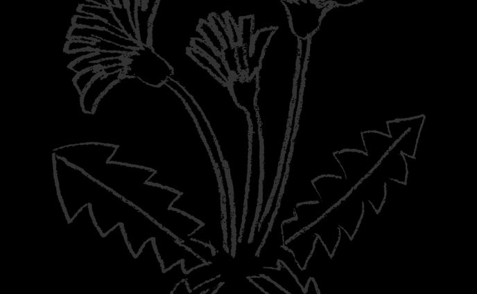 タイトルタイトル