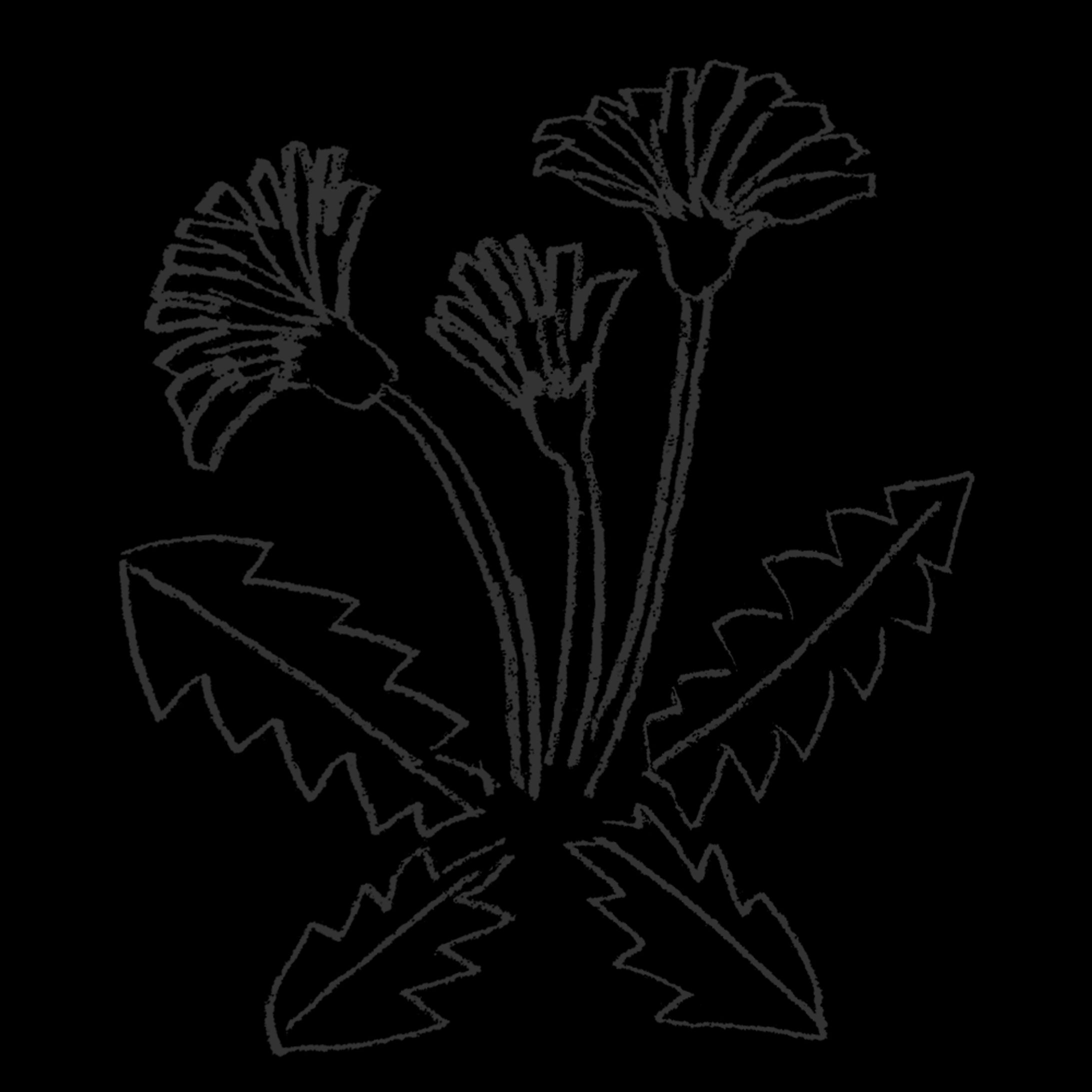 タイトルタイトル-1