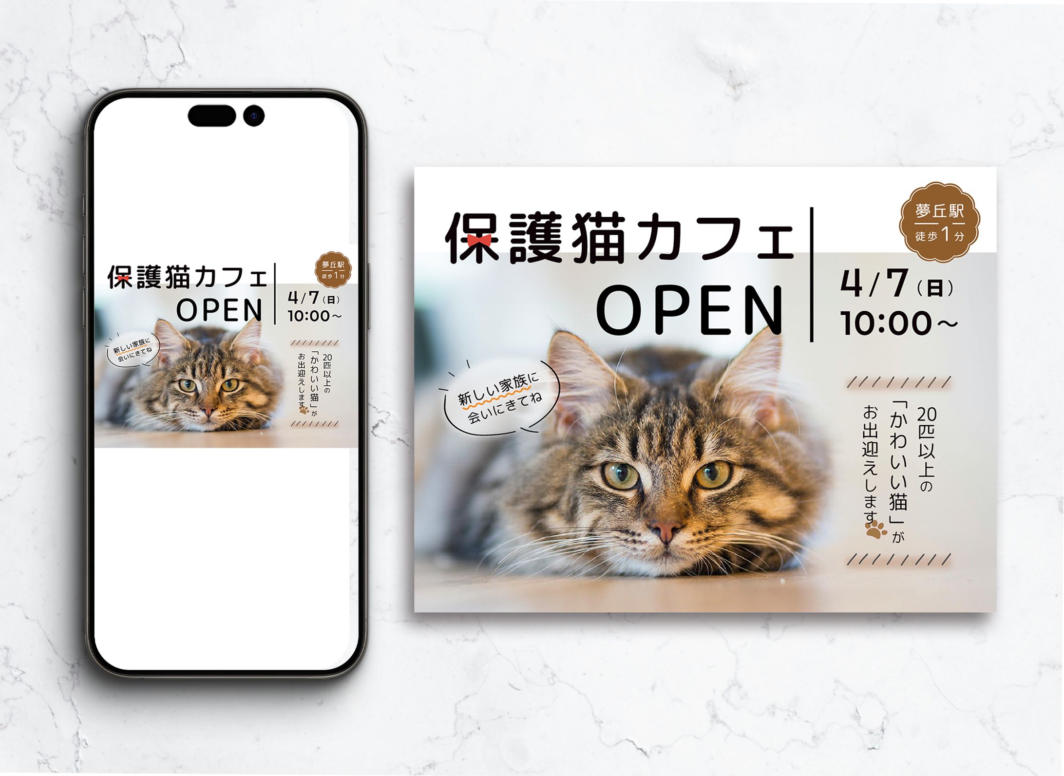 保護ネコカフェ　広告バナー①（架空）-1