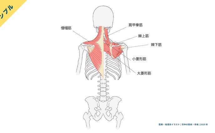 イラストレーター、ビジネス系