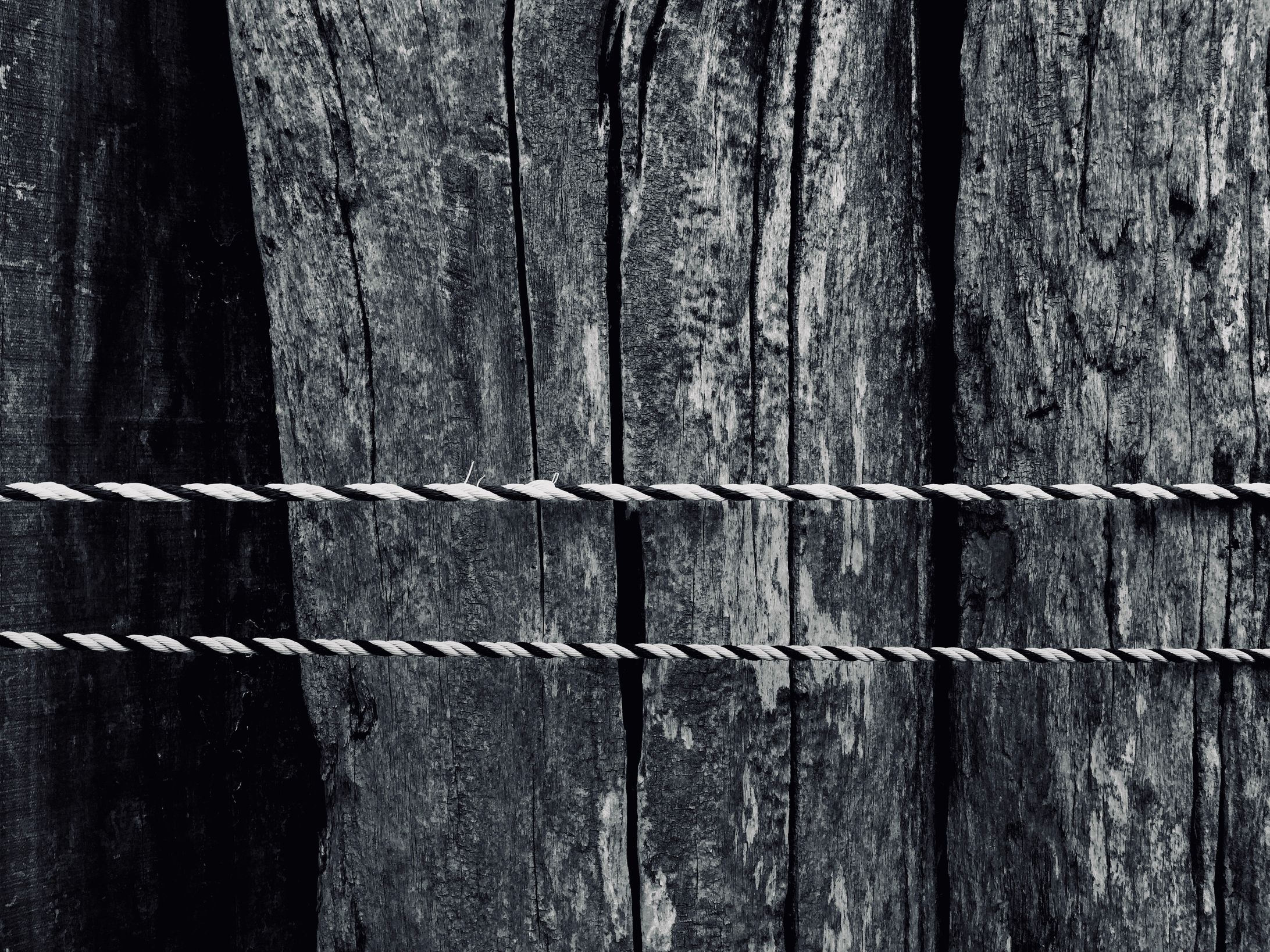 Wall(Photo)-1