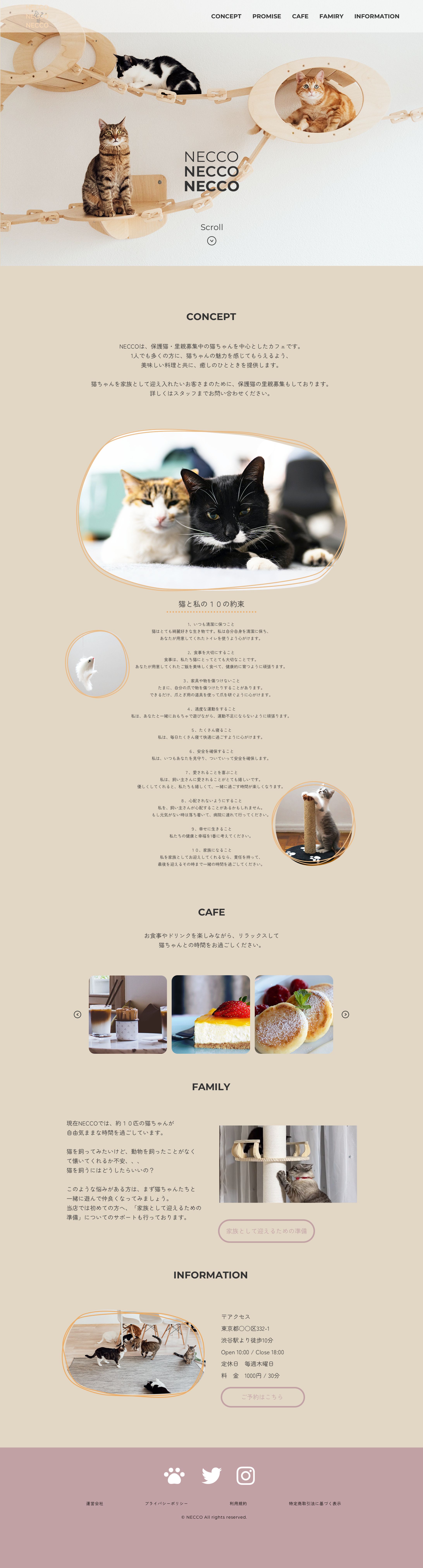 猫カフェNECCO　HP-1