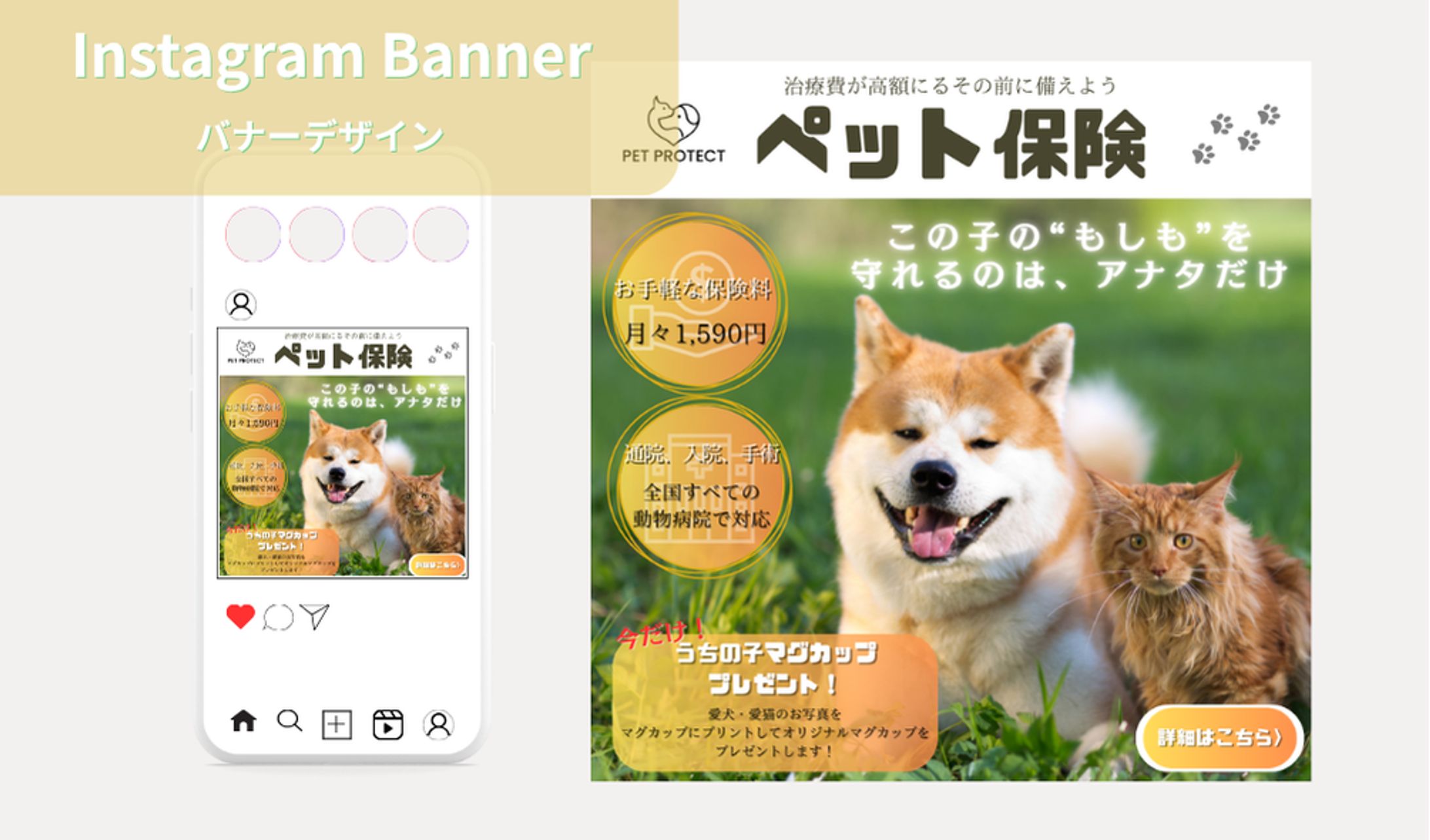 【HerTech架空案件】ペット保険バナー -1