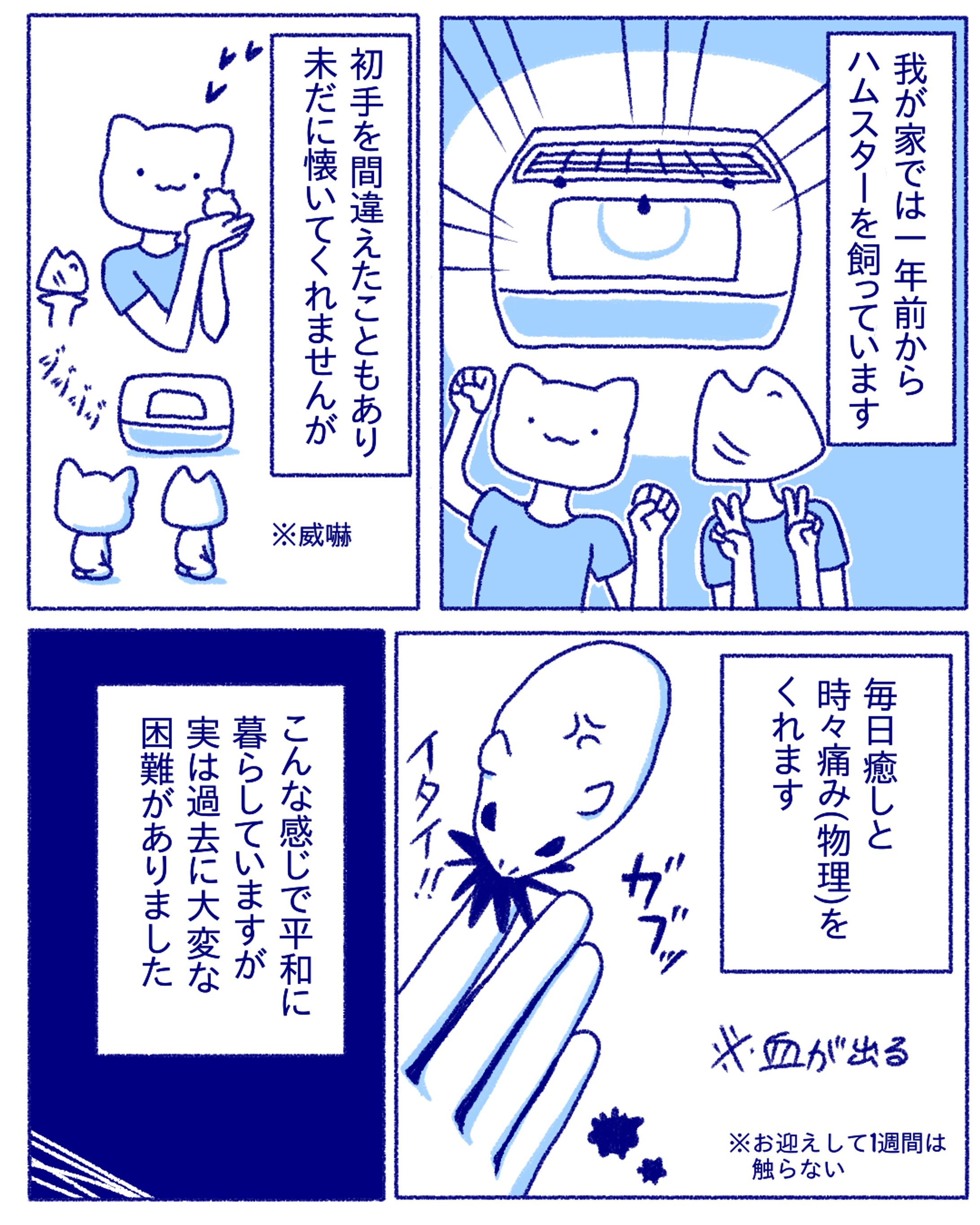 【マンガ】ハムスターをお迎えして1年が経ちました-1