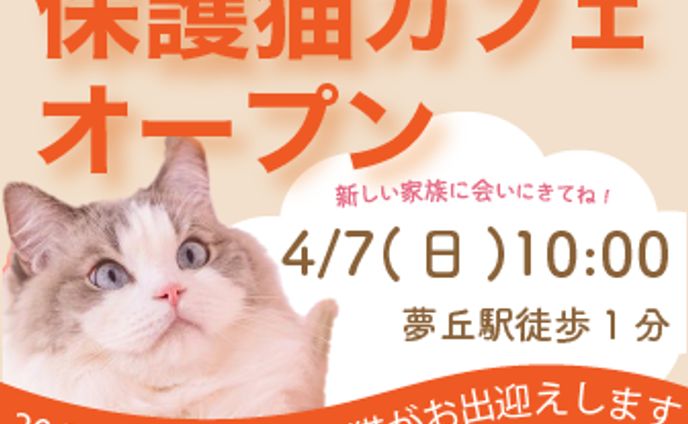 保護猫カフェの広告バナー