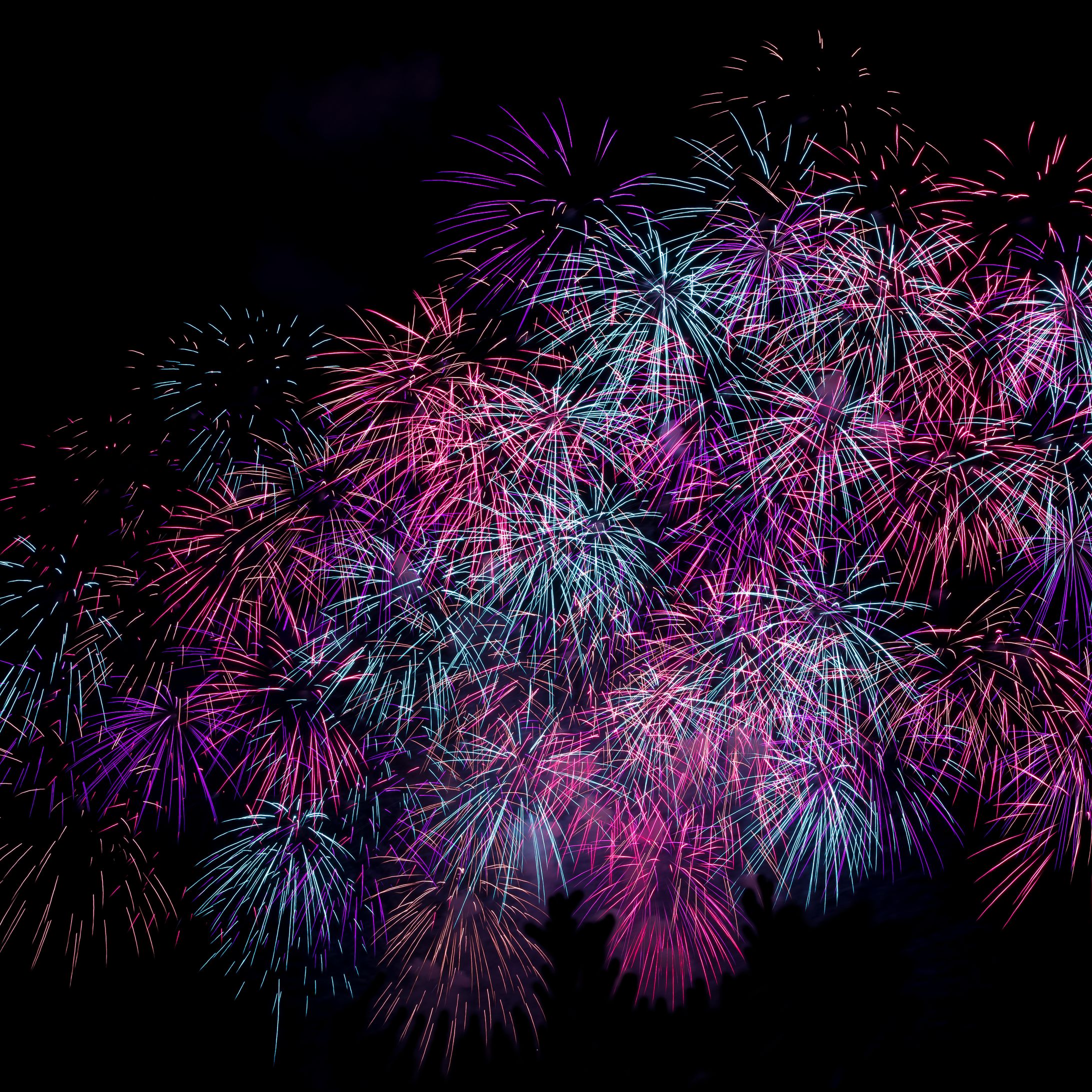 花火-1