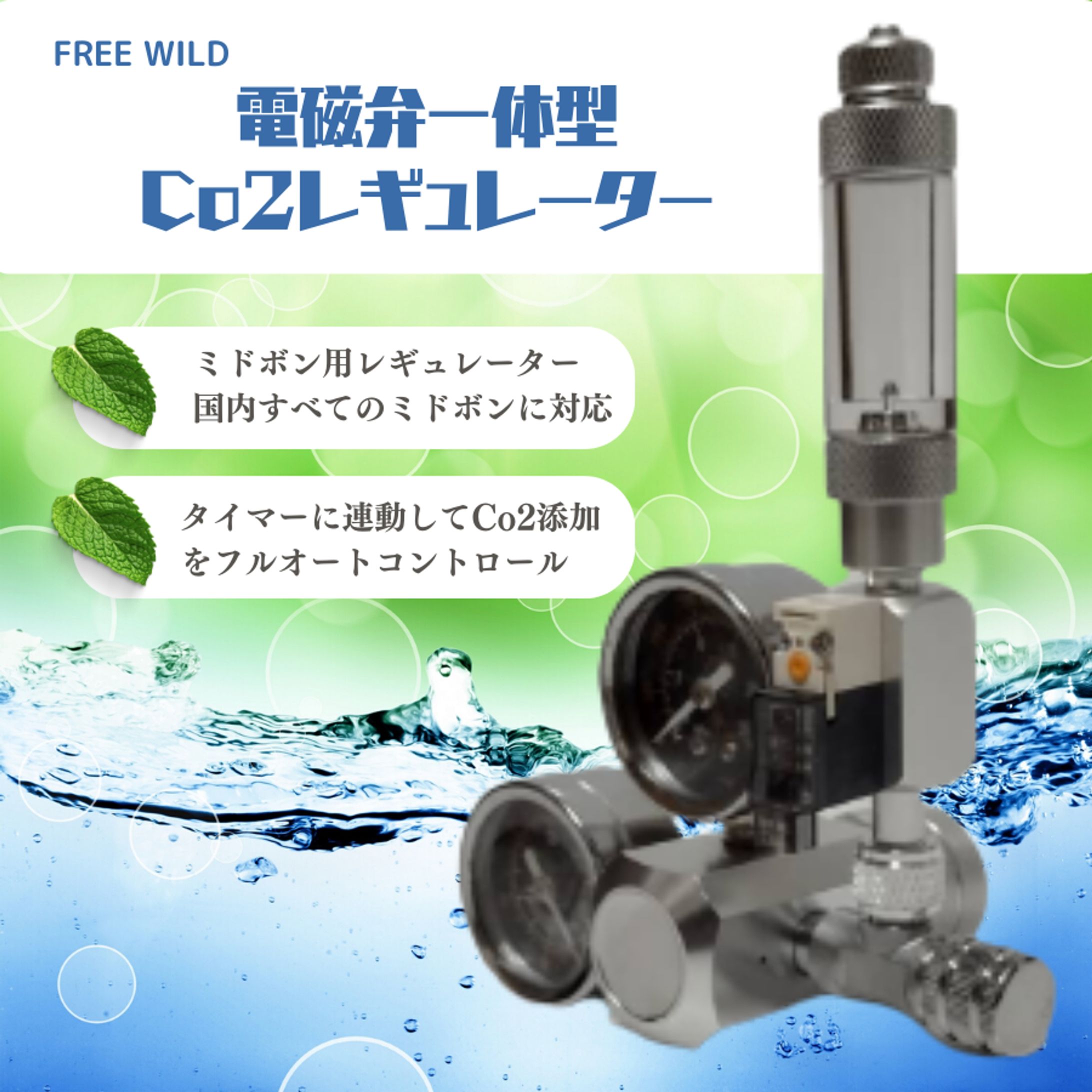 CANVA使用-1