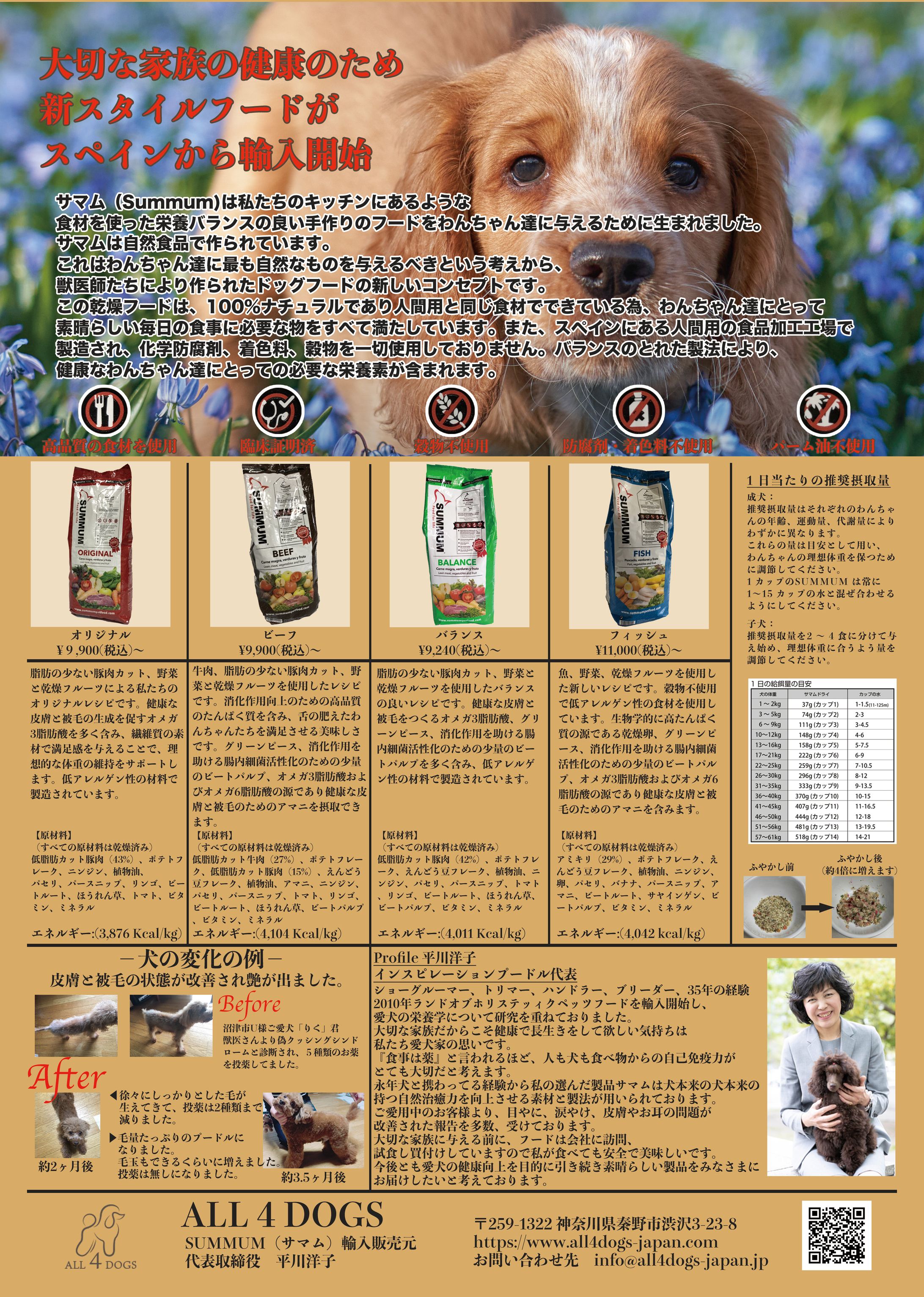 輸入ドッグフードのイベント用チラシ-1