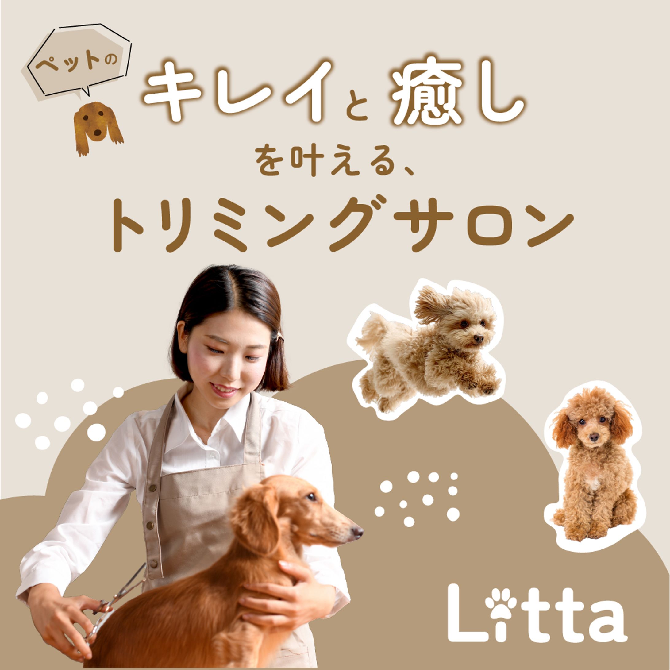 トリミングサロンSNS広告等_課題作品-1