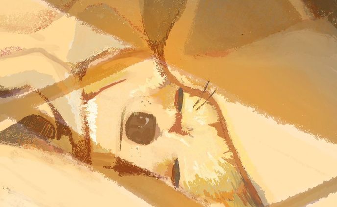 イラストレーター・デザイナー、beat