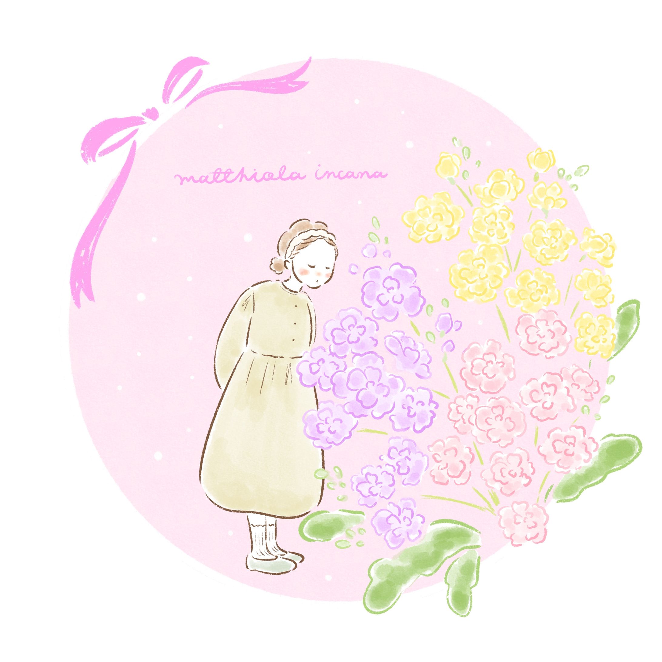 Matthiola incana-1