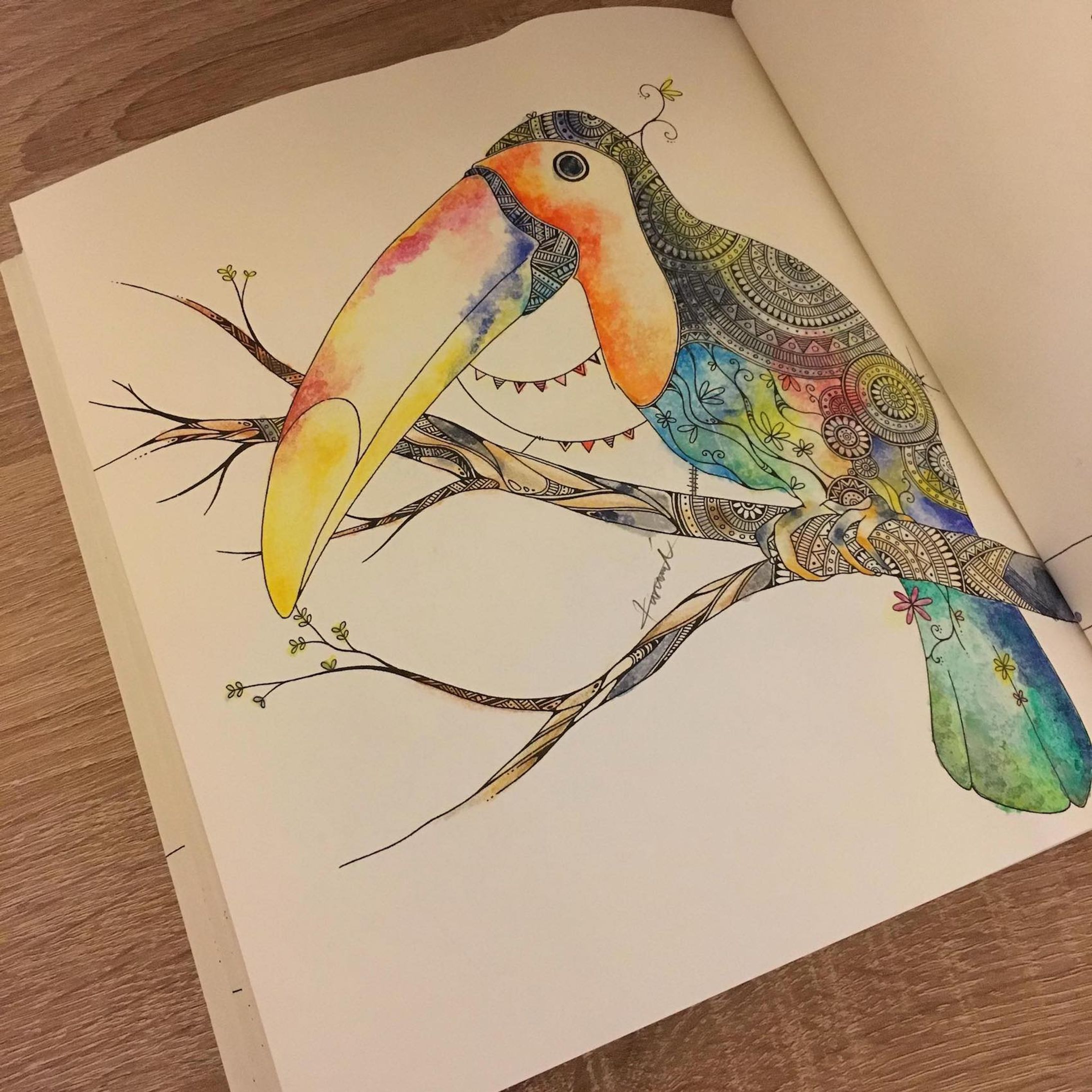 Coloring-1