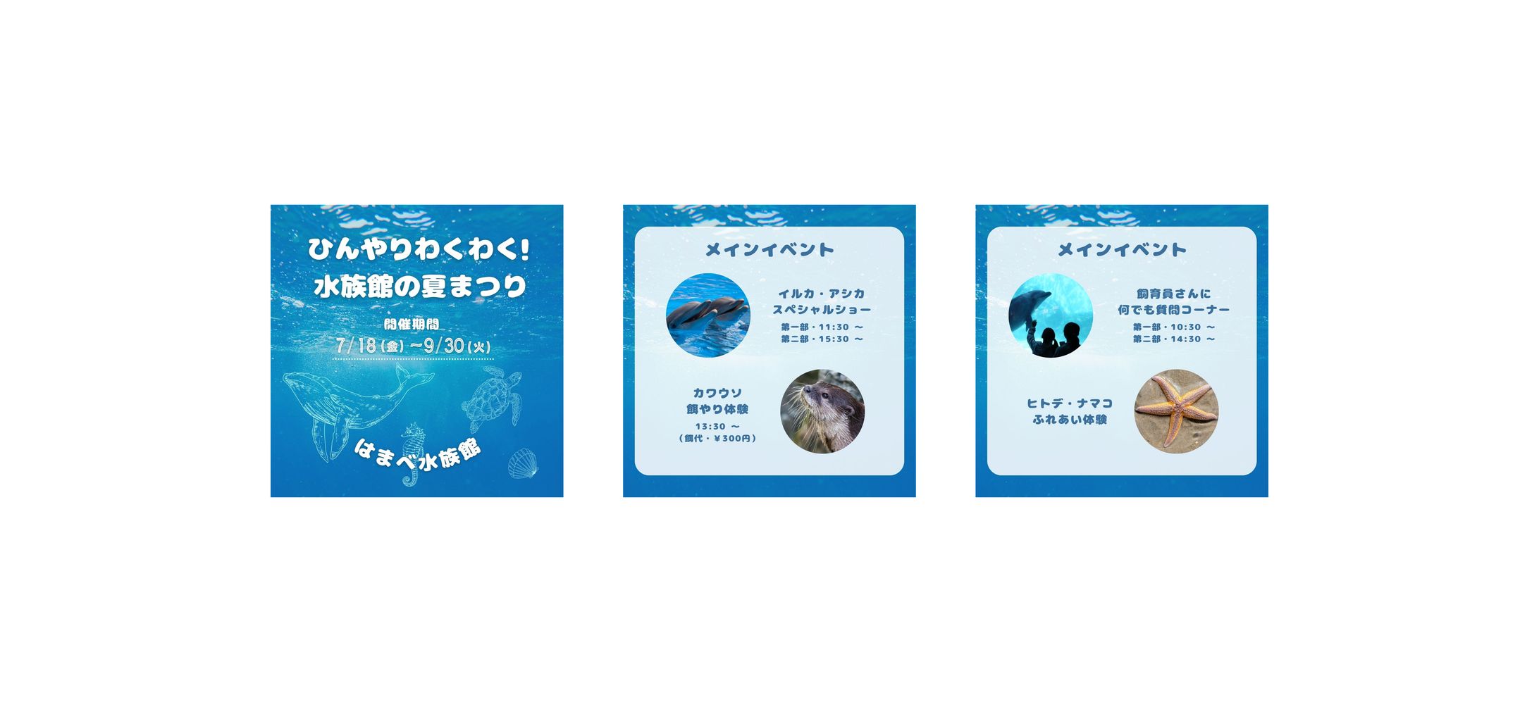 【SNS運用】はまべ水族館 イベント告知-1
