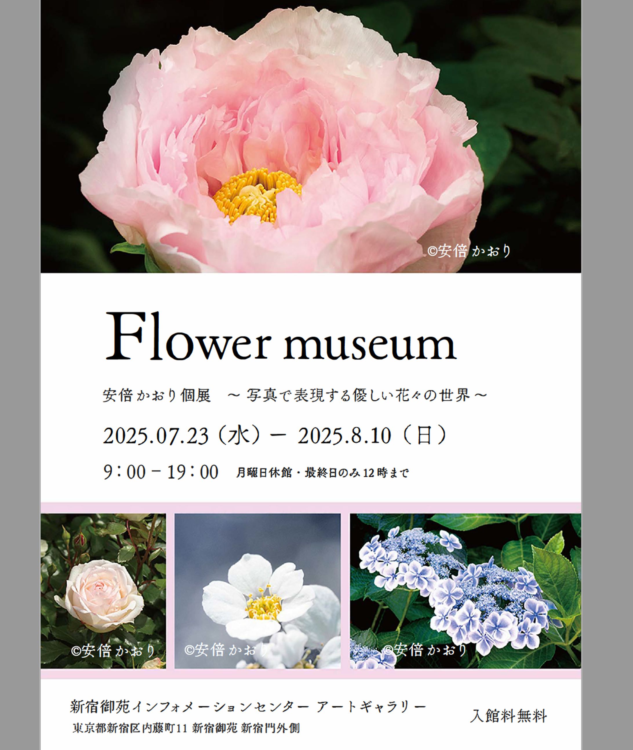 個展 「 Flower museum 」開催-1