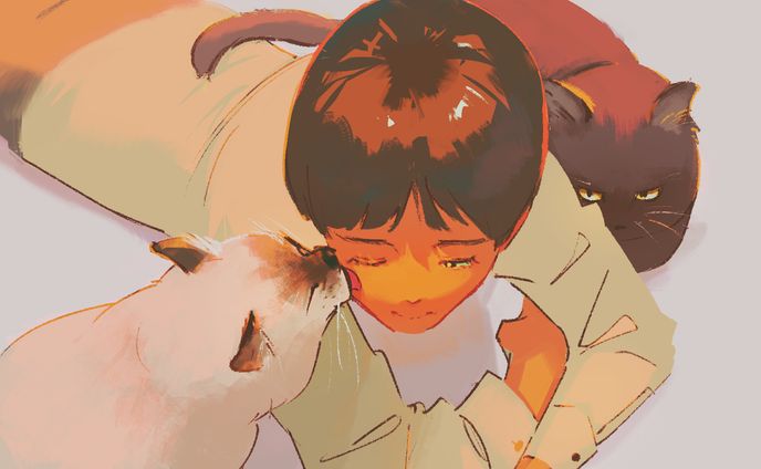 猫に懐かれる