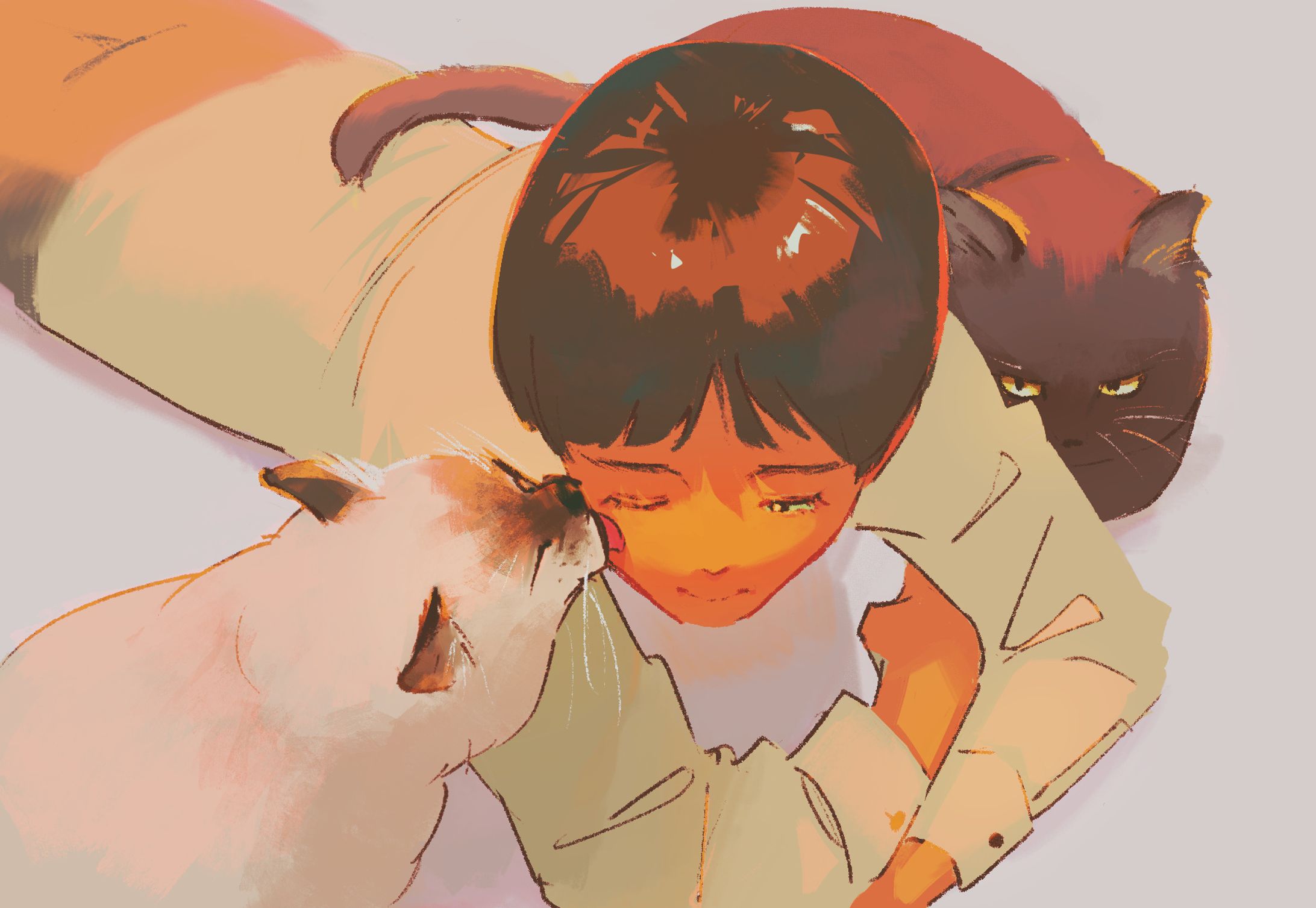 猫に懐かれる-1