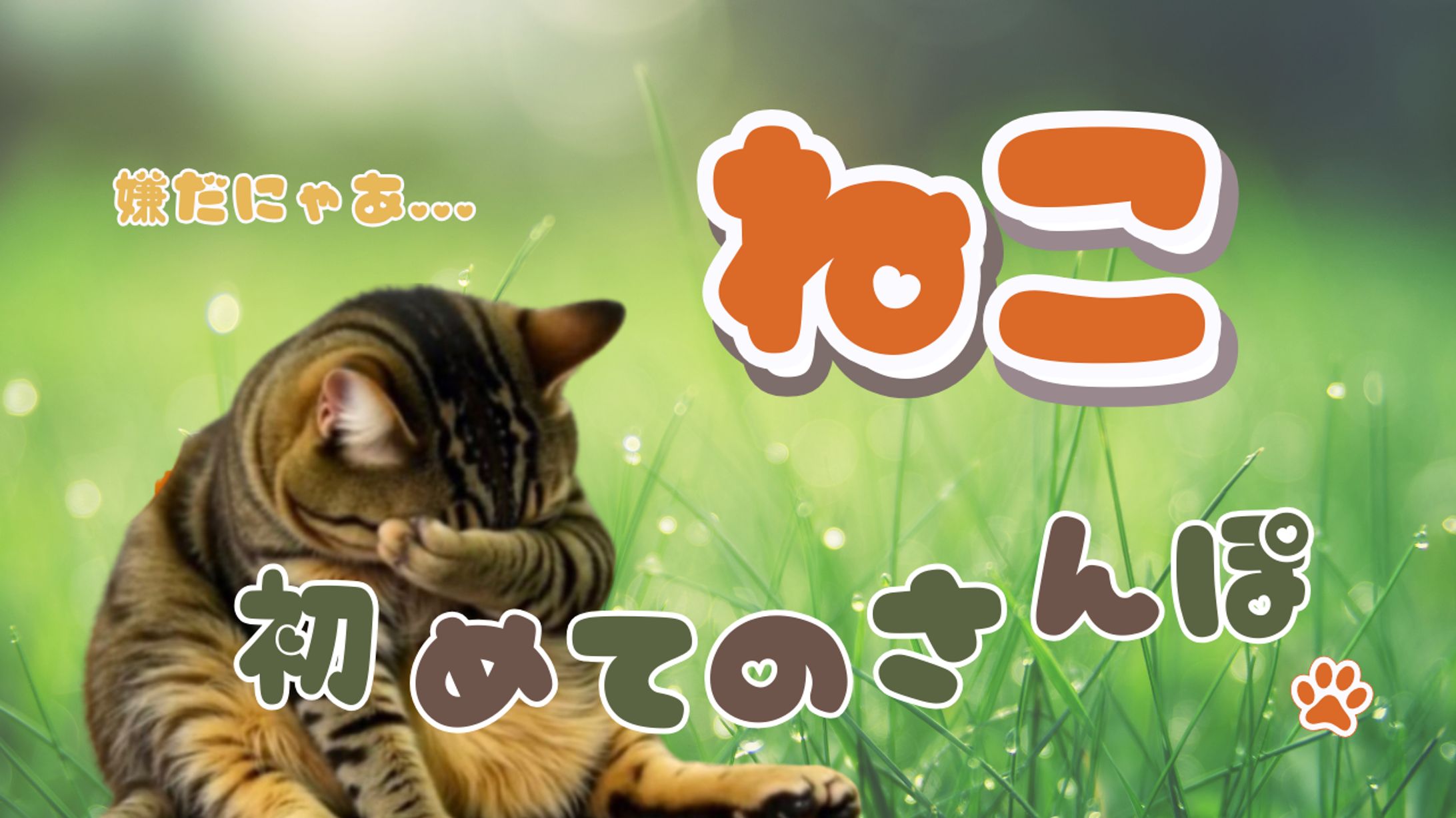 猫のさんぽ -1