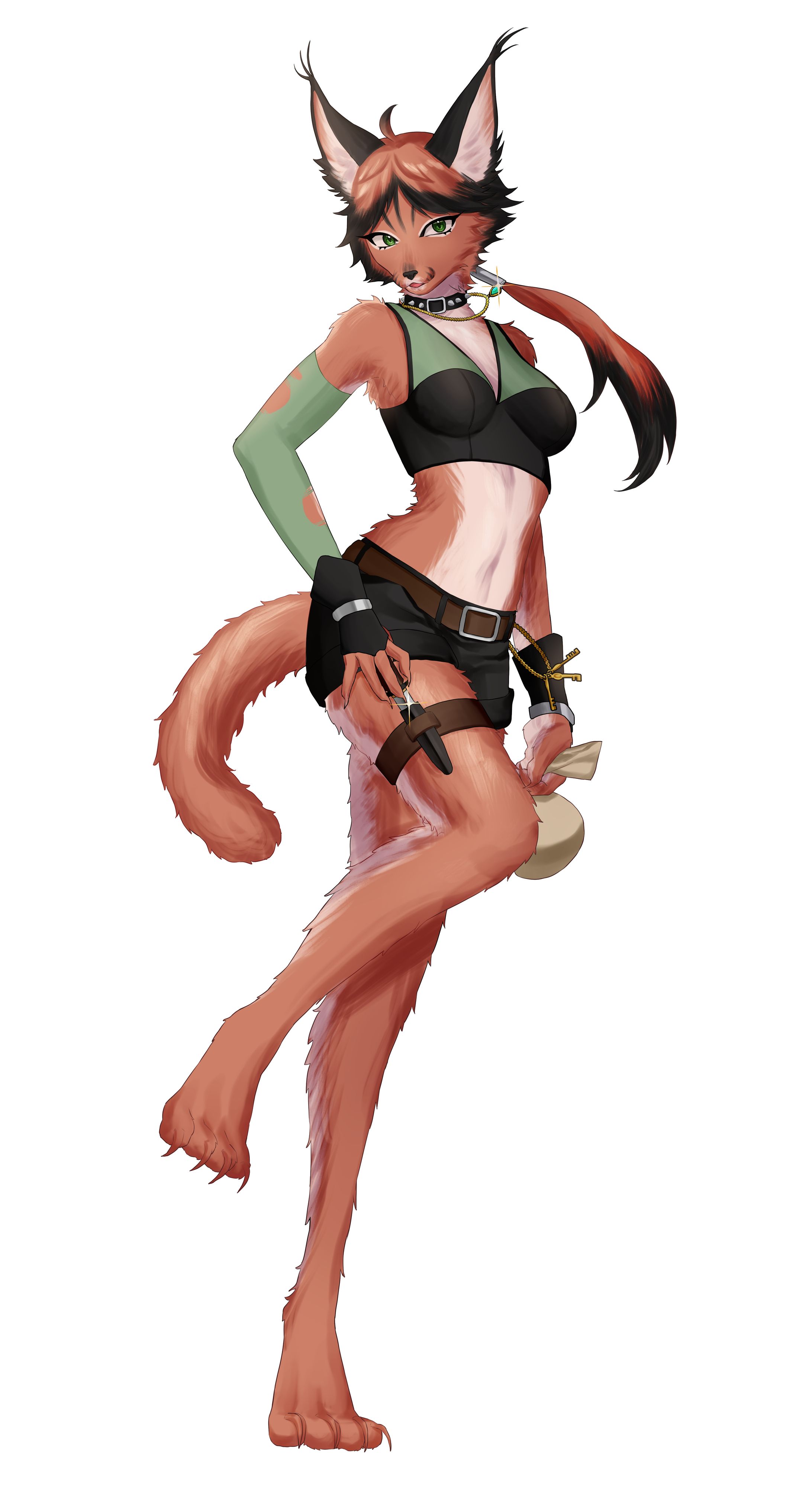 盗賊獣人_立ち絵-1