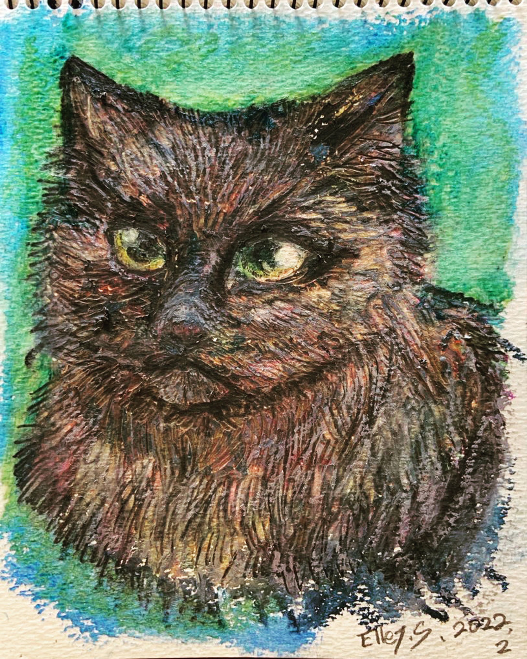 猫-1
