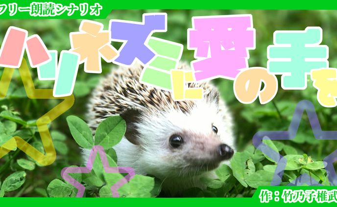 【朗読シナリオ】ハリネズミに愛の手を