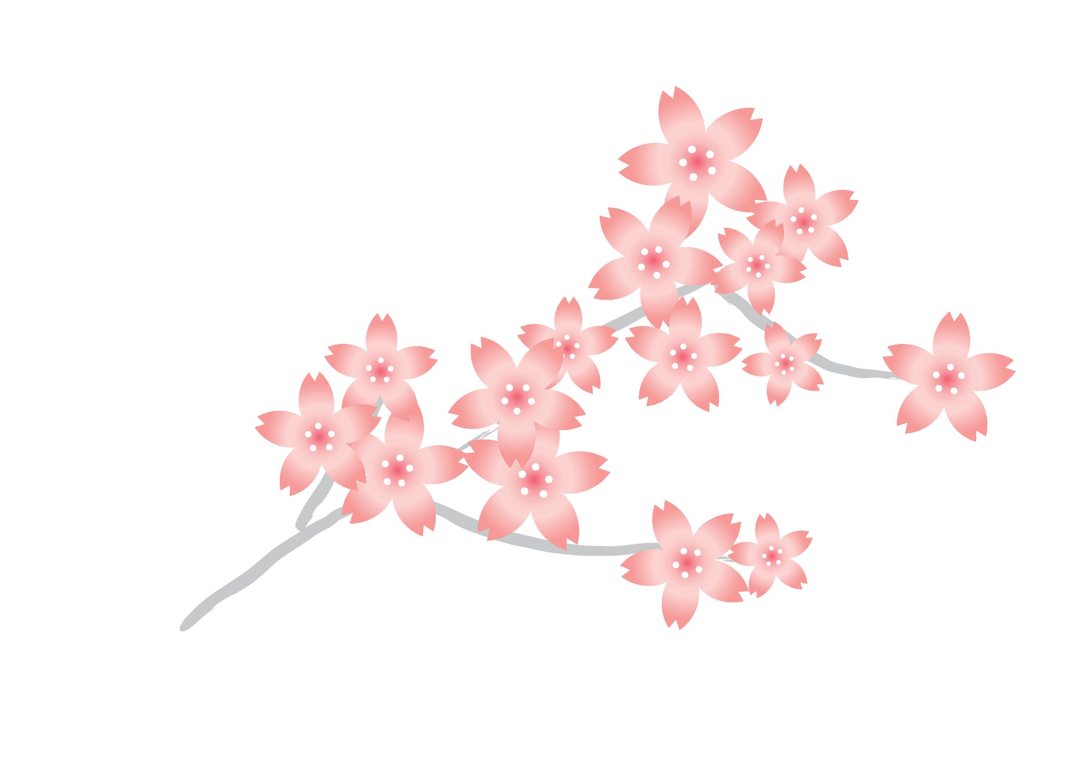 桜製作課題-1