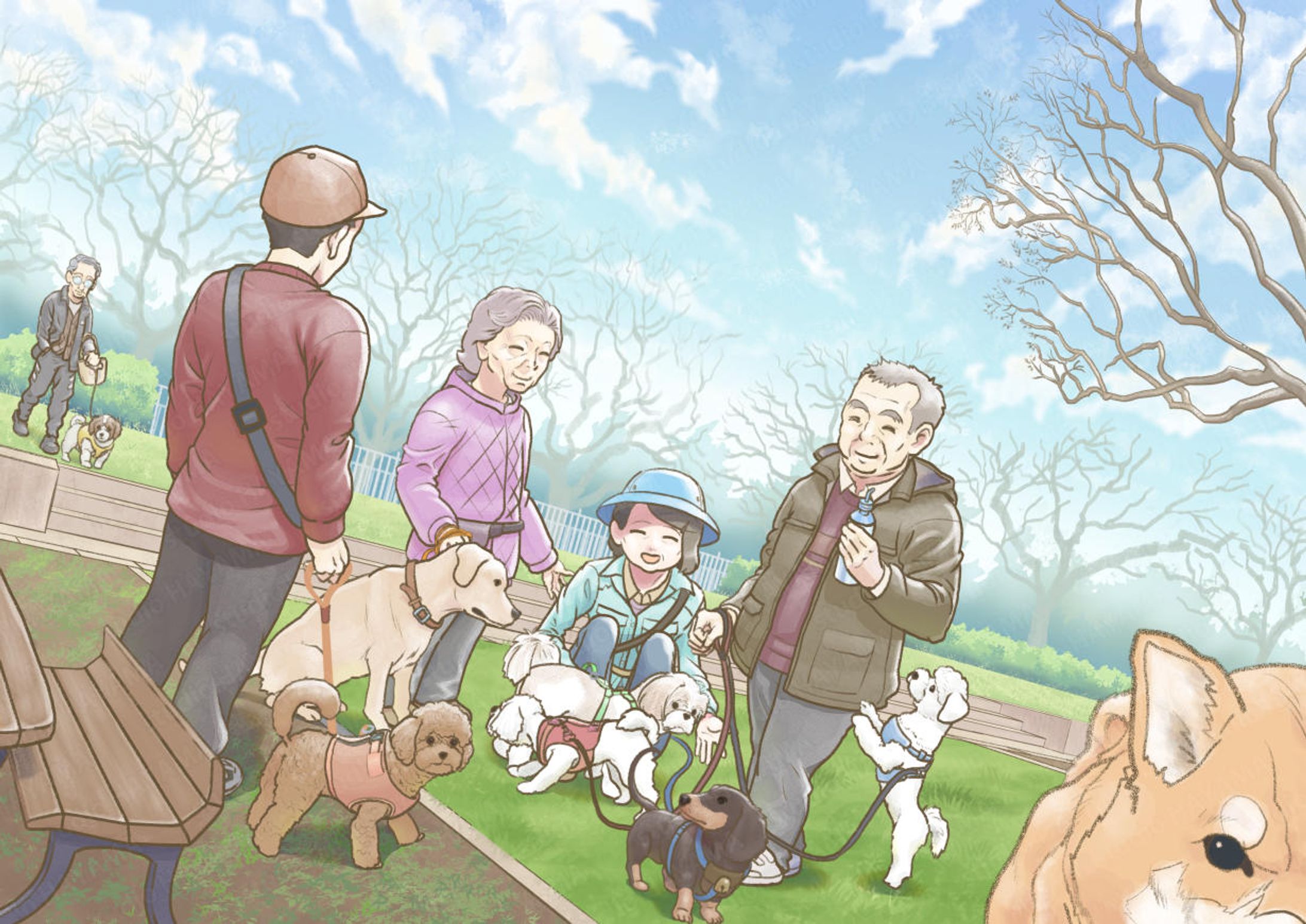 「公園で見る犬だまり」-1