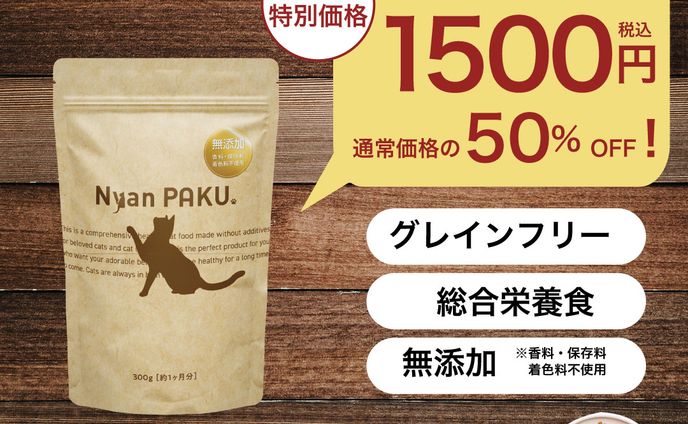 2.5等身 aタイプ、バナー