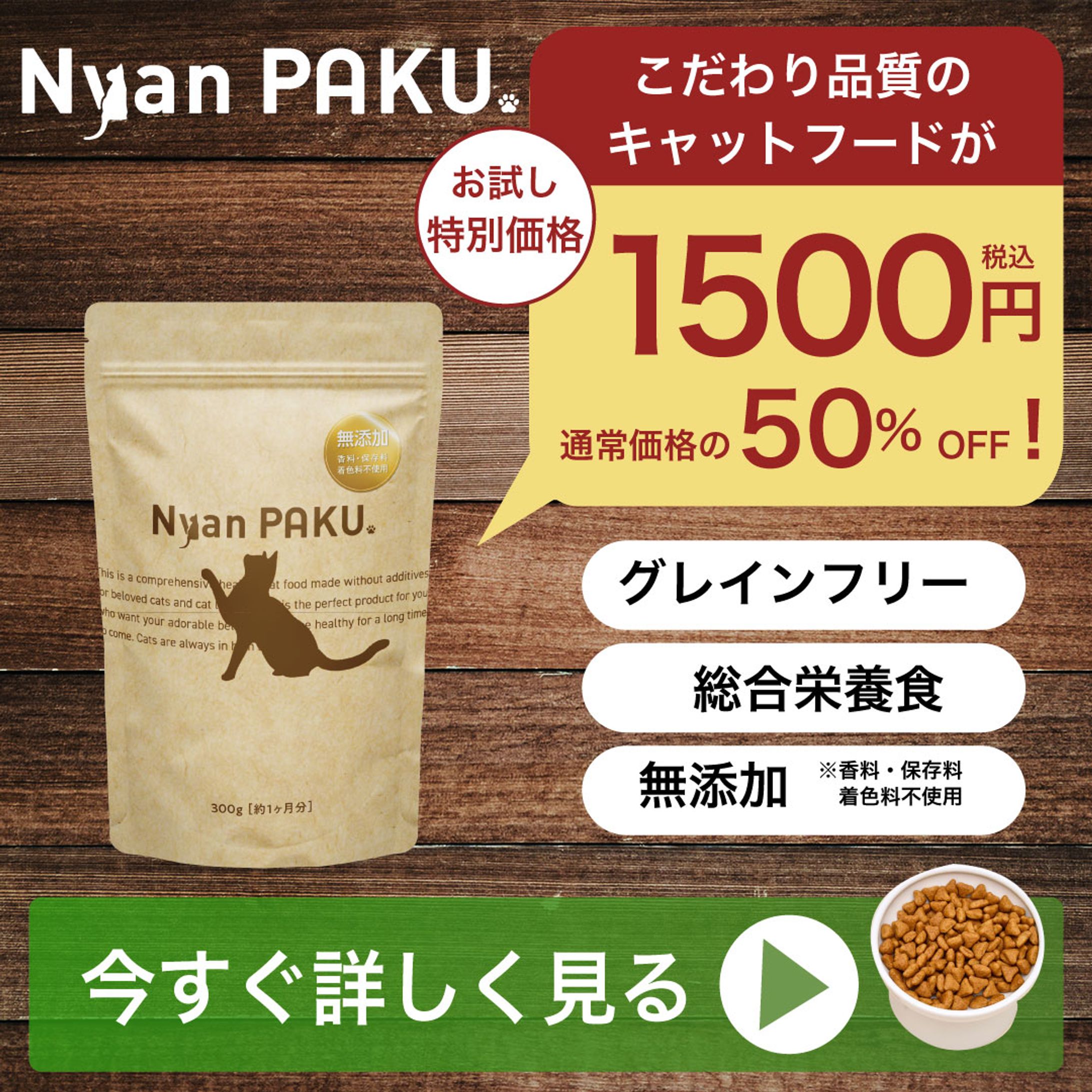キャットフード　バナー　価格重視タイプ-1